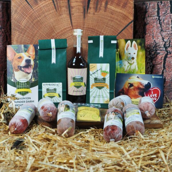 Welpen Starter-Paket