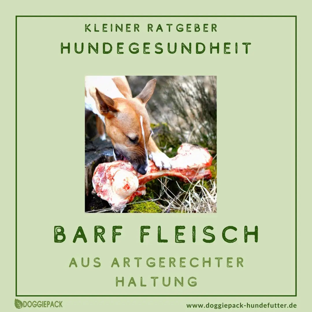 Barf Fleisch aus artgerechter Haltung