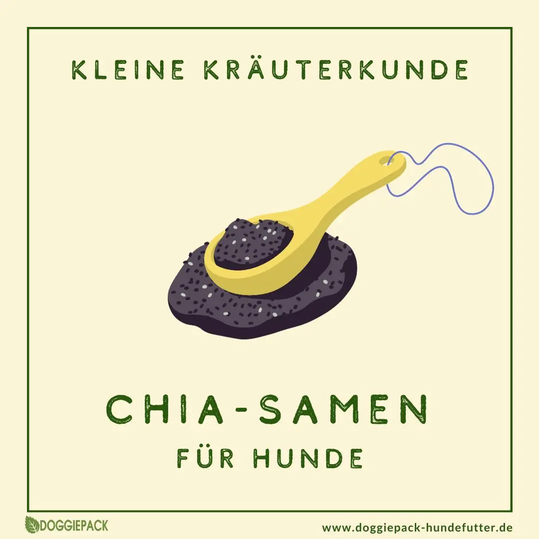 Chia-Samen: auch für Hunde