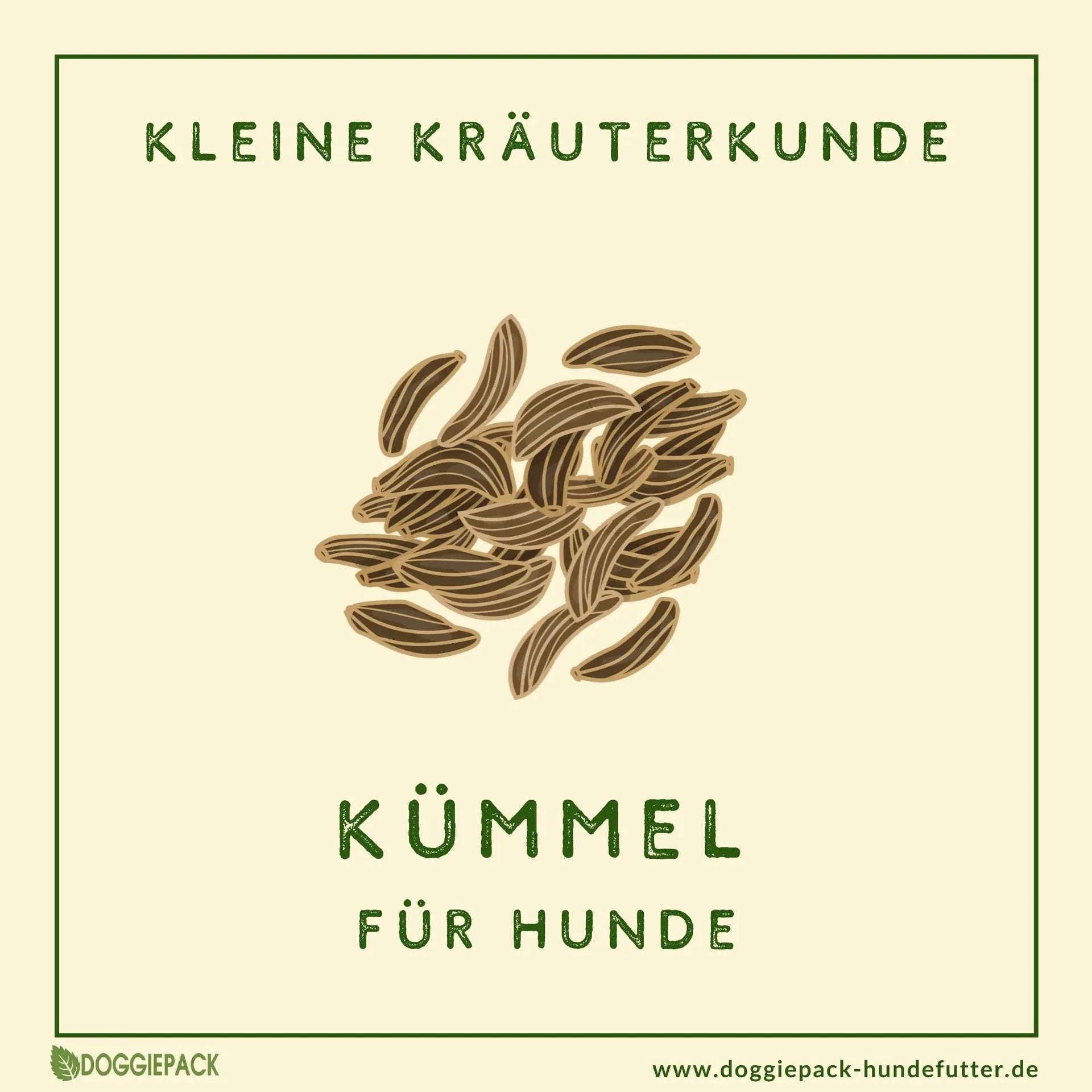 Kümmel für Hunde