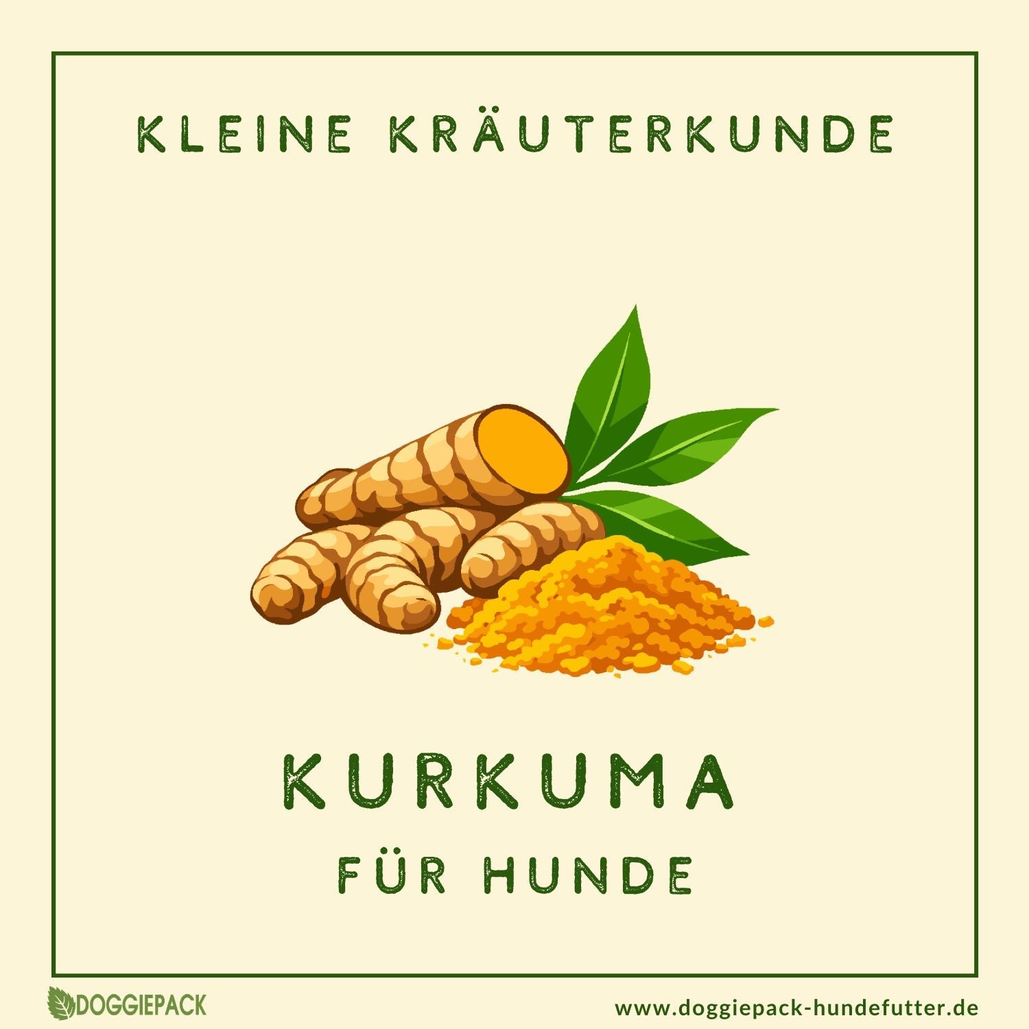 Kurkuma für Hunde - Natürliche Ergänzung & Goldene Paste