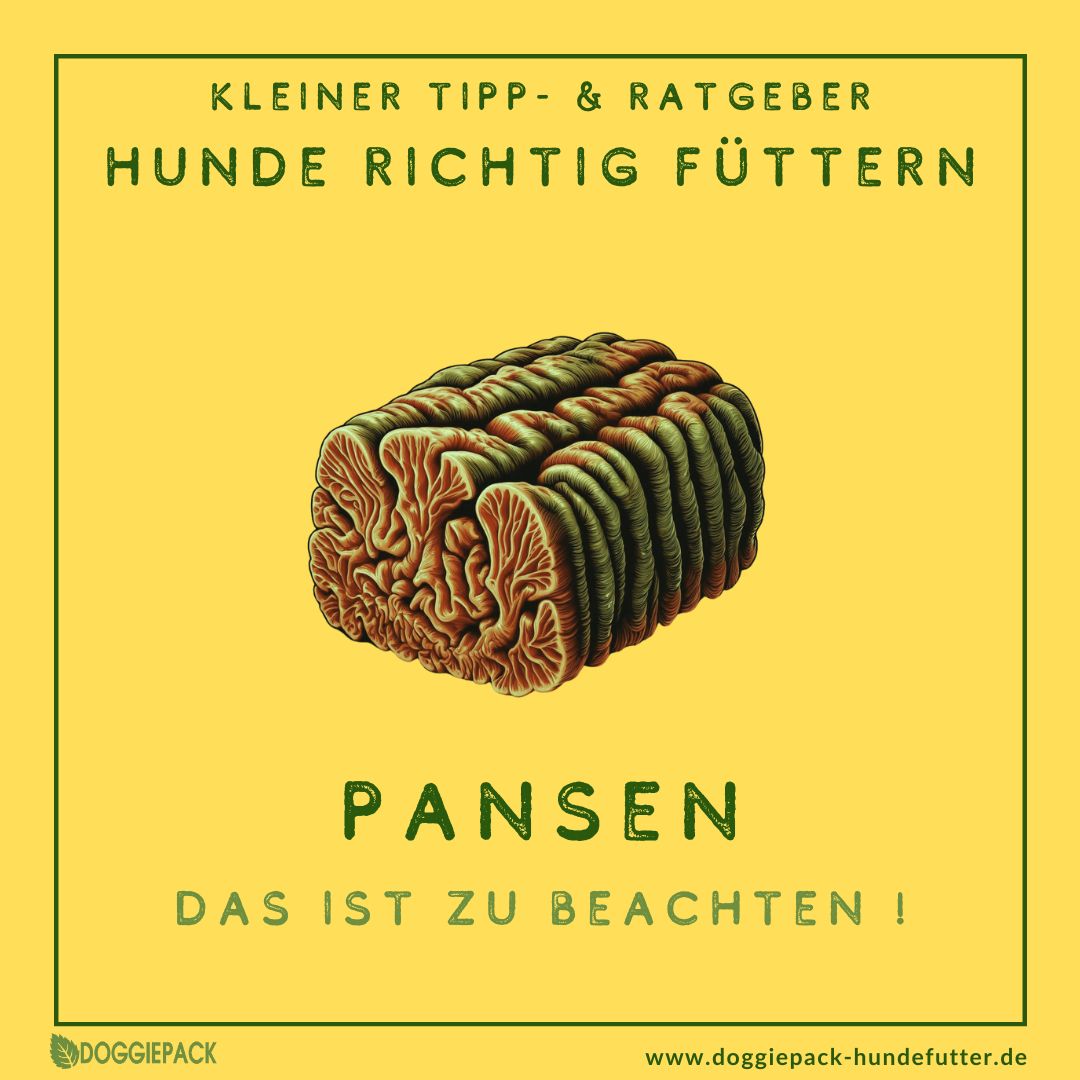 Pansen: Stinkt  - aber trotzdem so toll!
