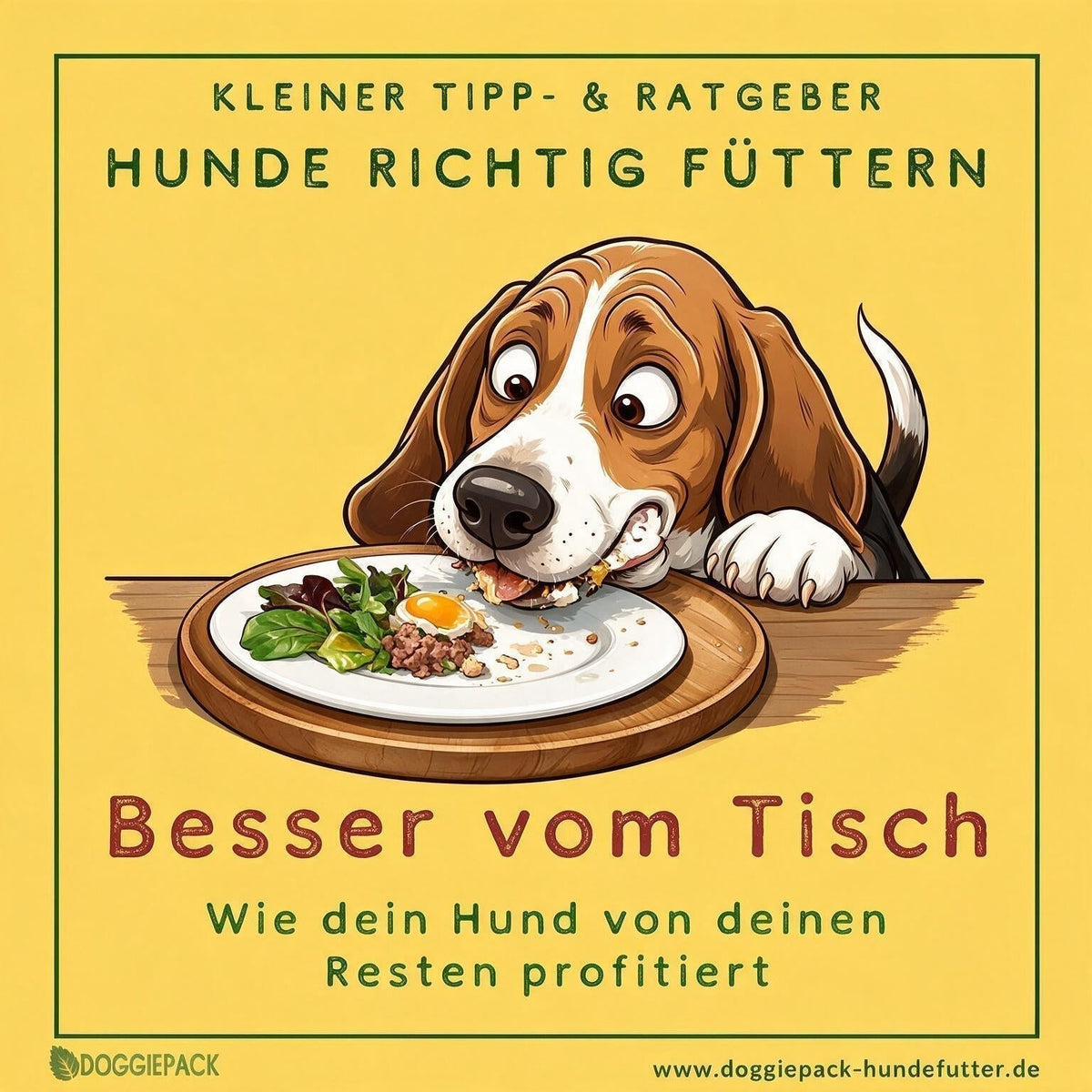 Hund bekommt vom Tisch? Ja, nachhaltig, lecker und gesund
