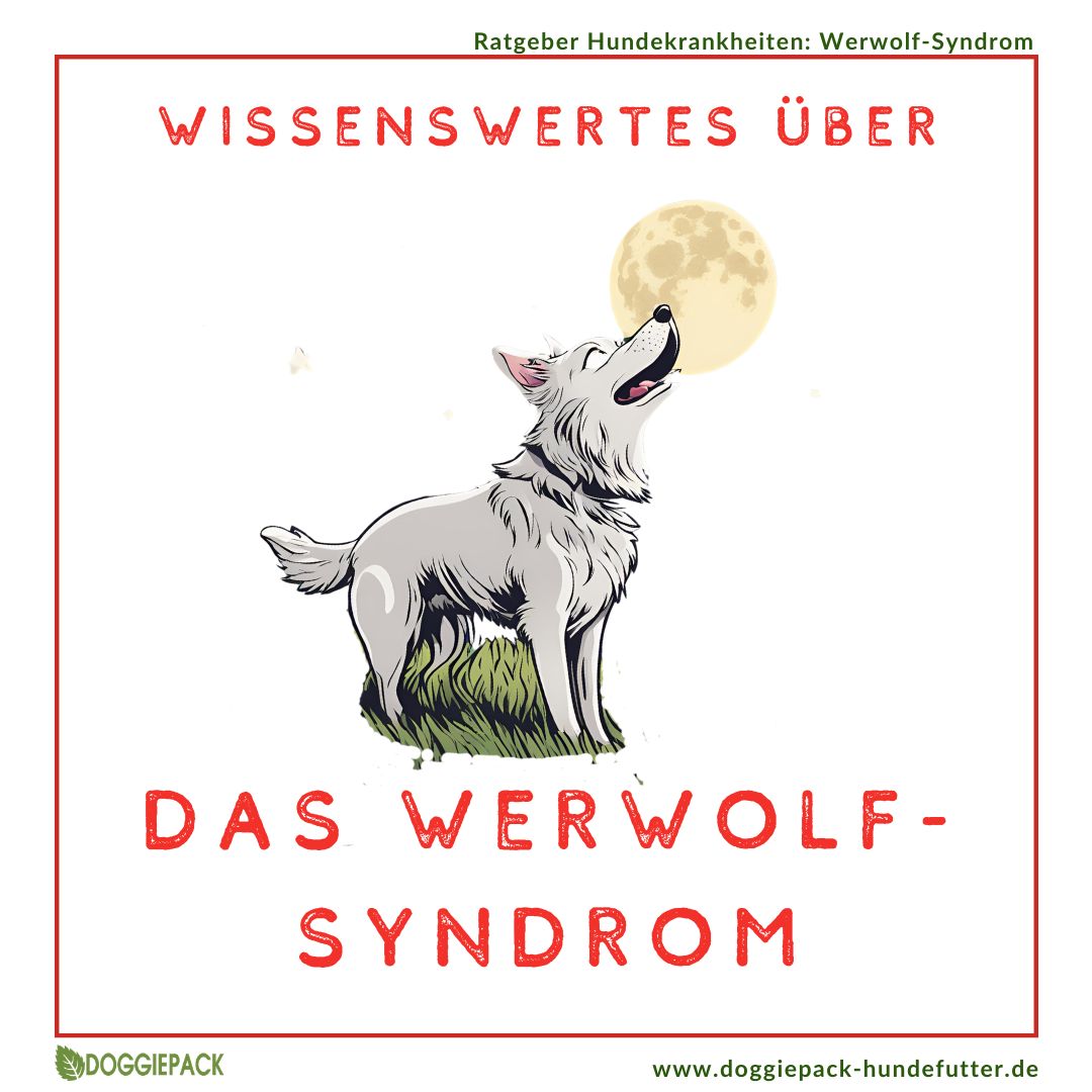 Werwolf Syndrom bei Hunden
