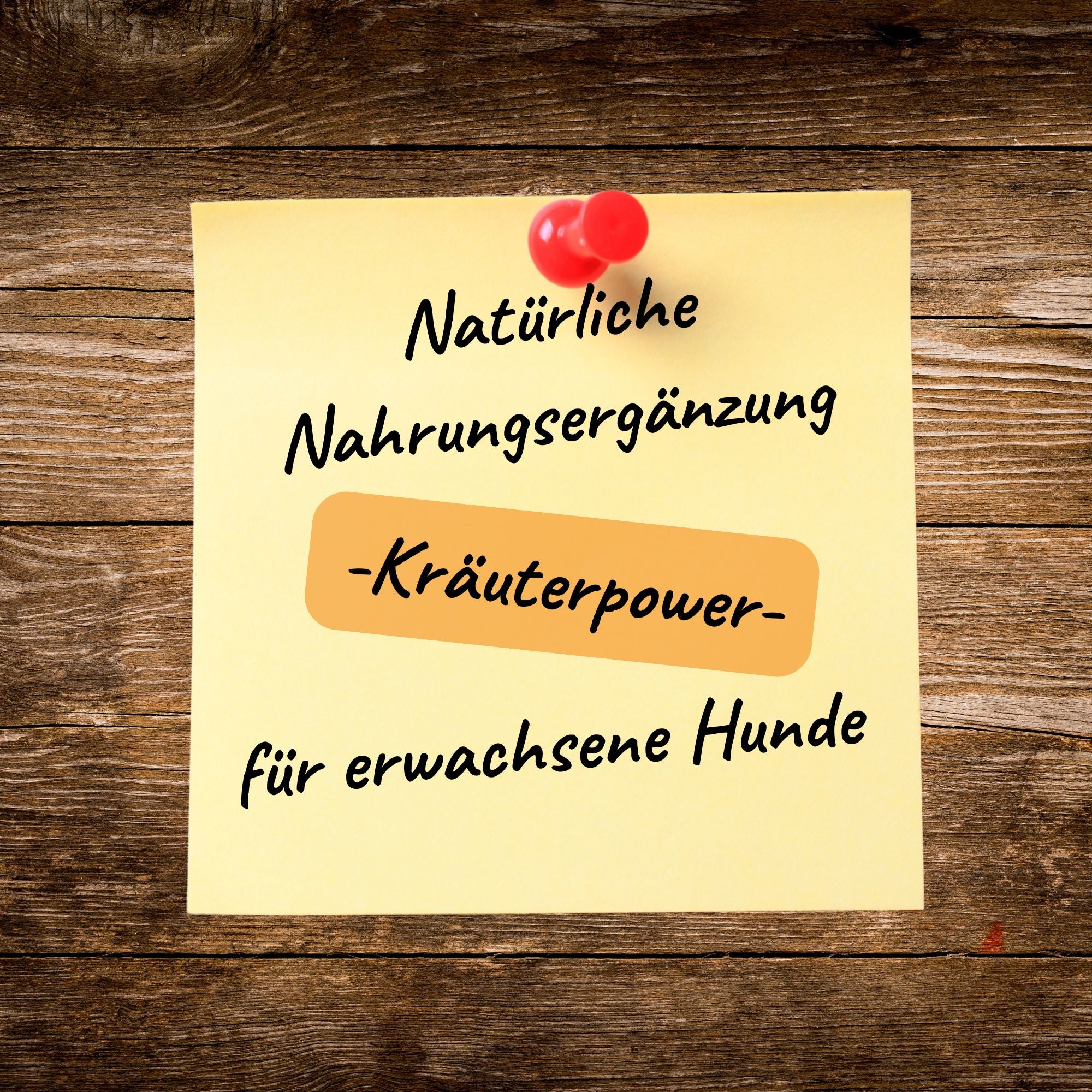 Adult Kräuter-Mix
