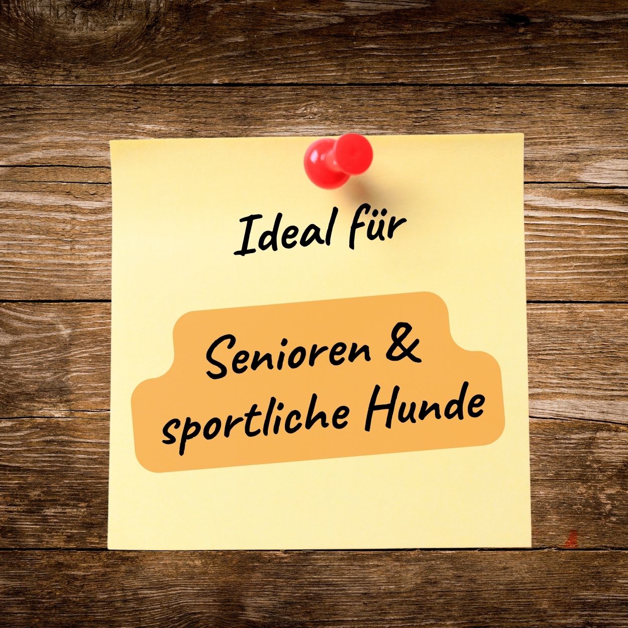 Arthro-Pack - Laufen ist Lebensfreude