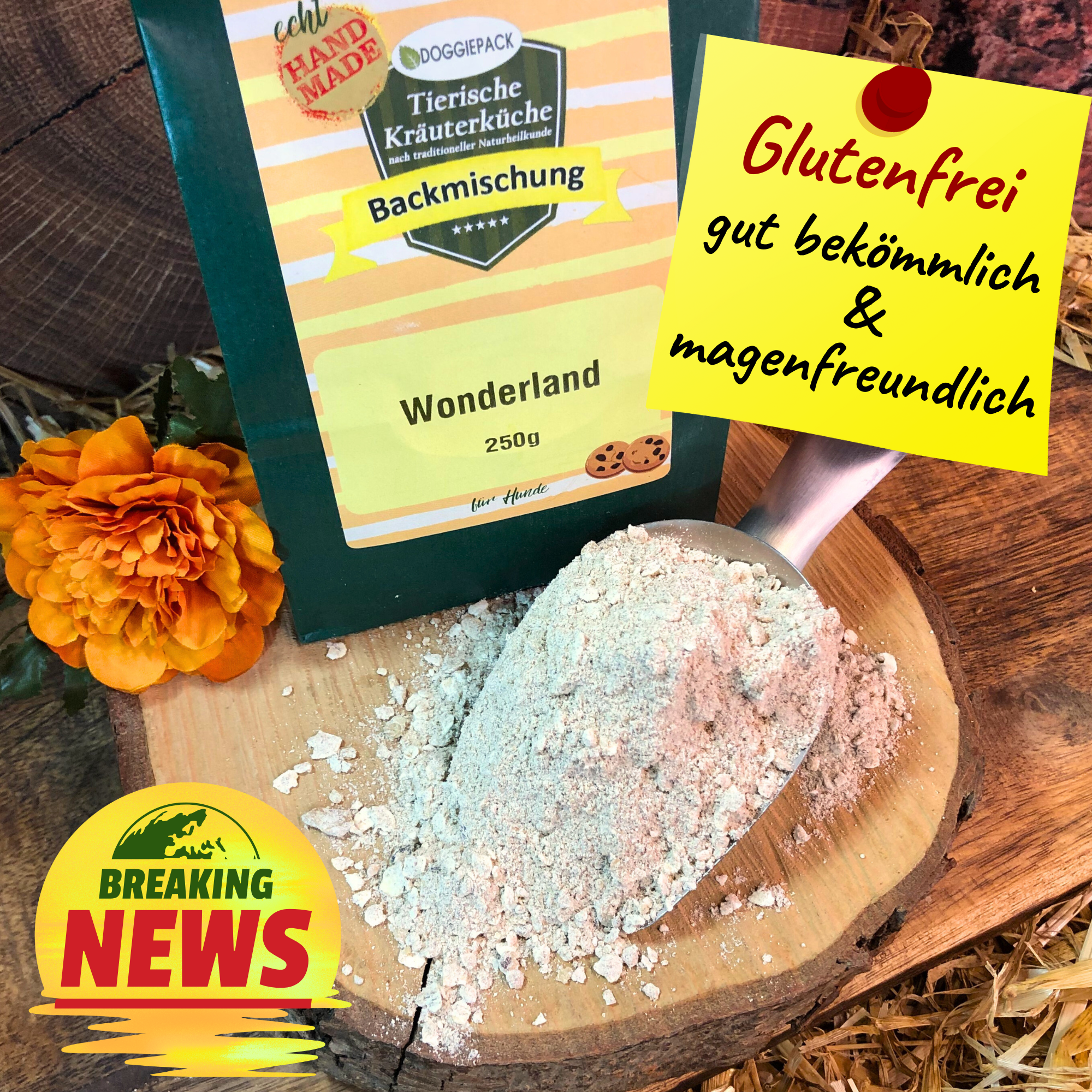 Backmischung Hundekekse Wonderland