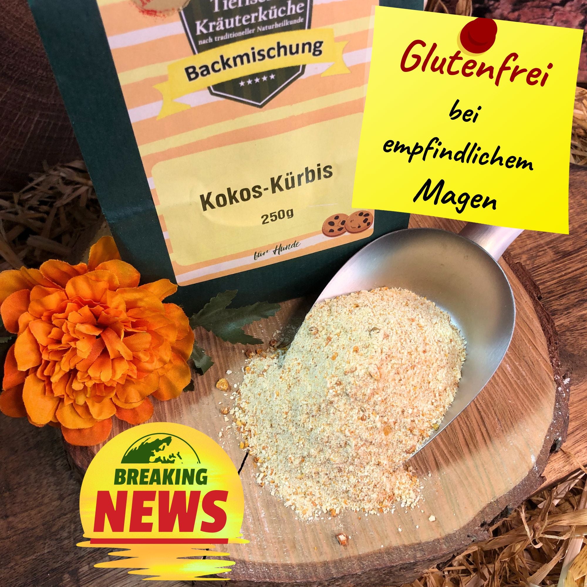Backmischung Hundekekse Kokos-Kürbis