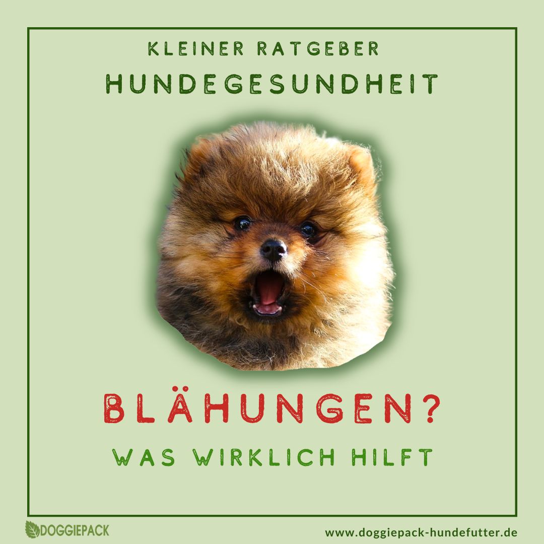 Pups-E+ Kräuter