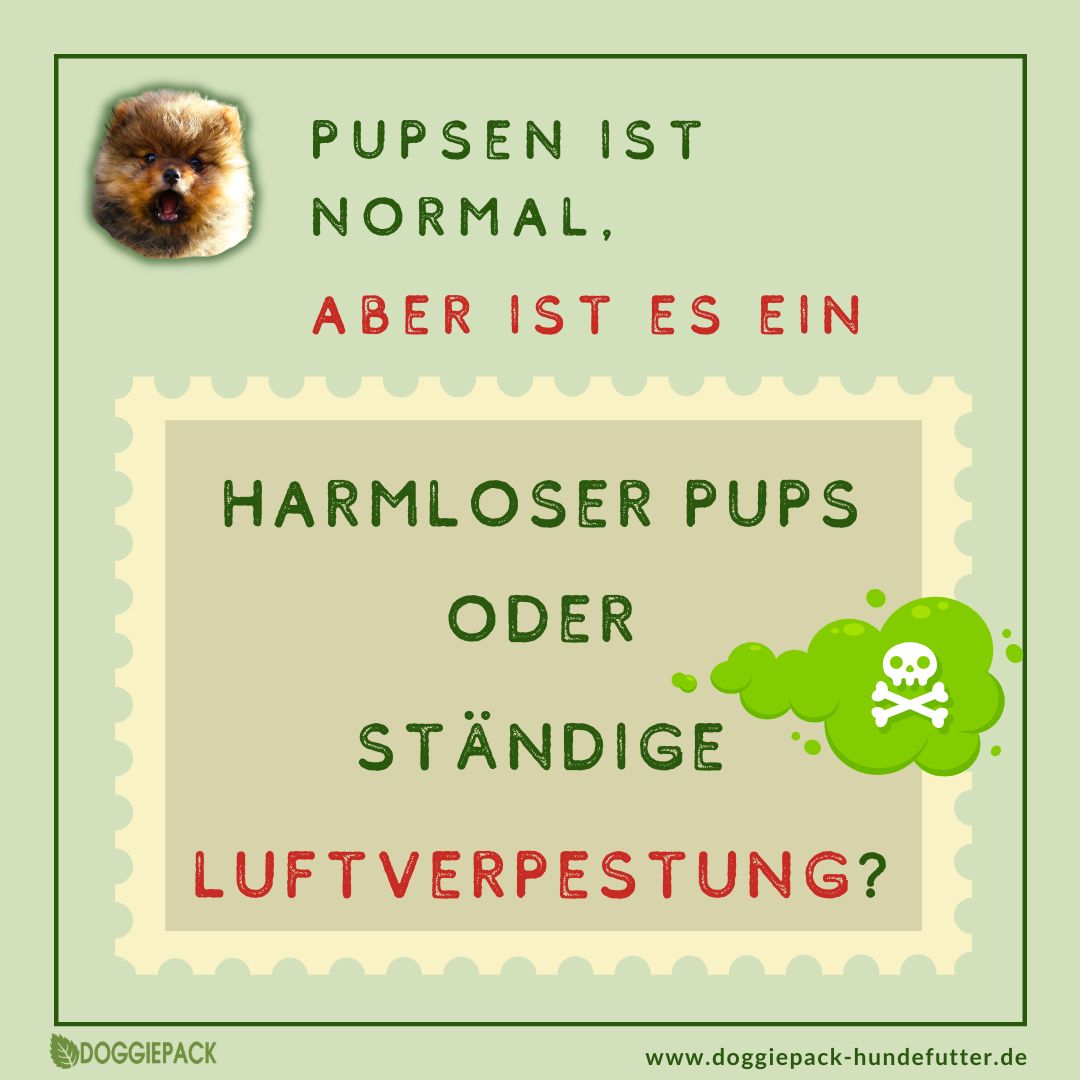 Pups-E+ Kräuter