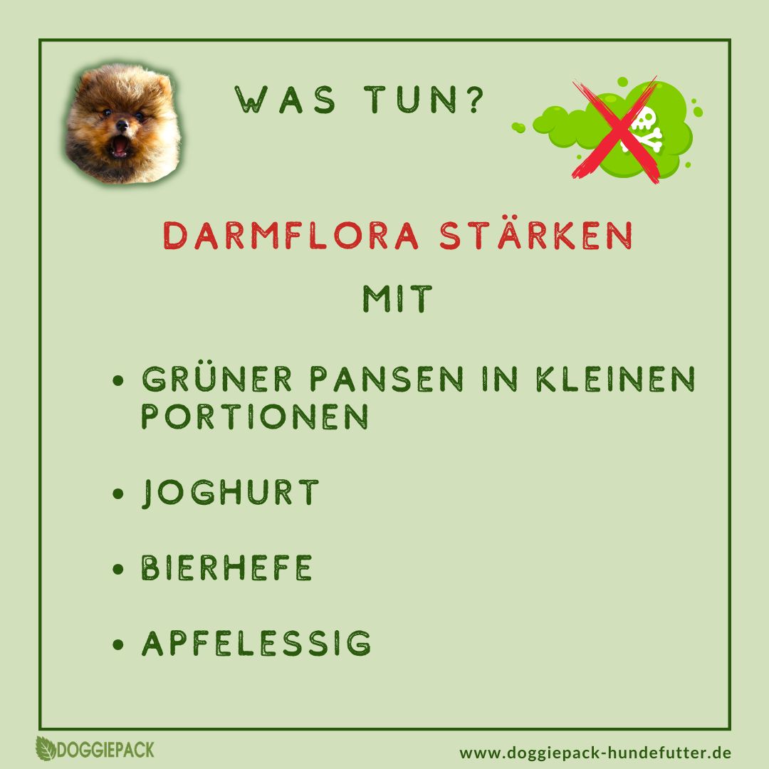 Pups-E+ Kräuter