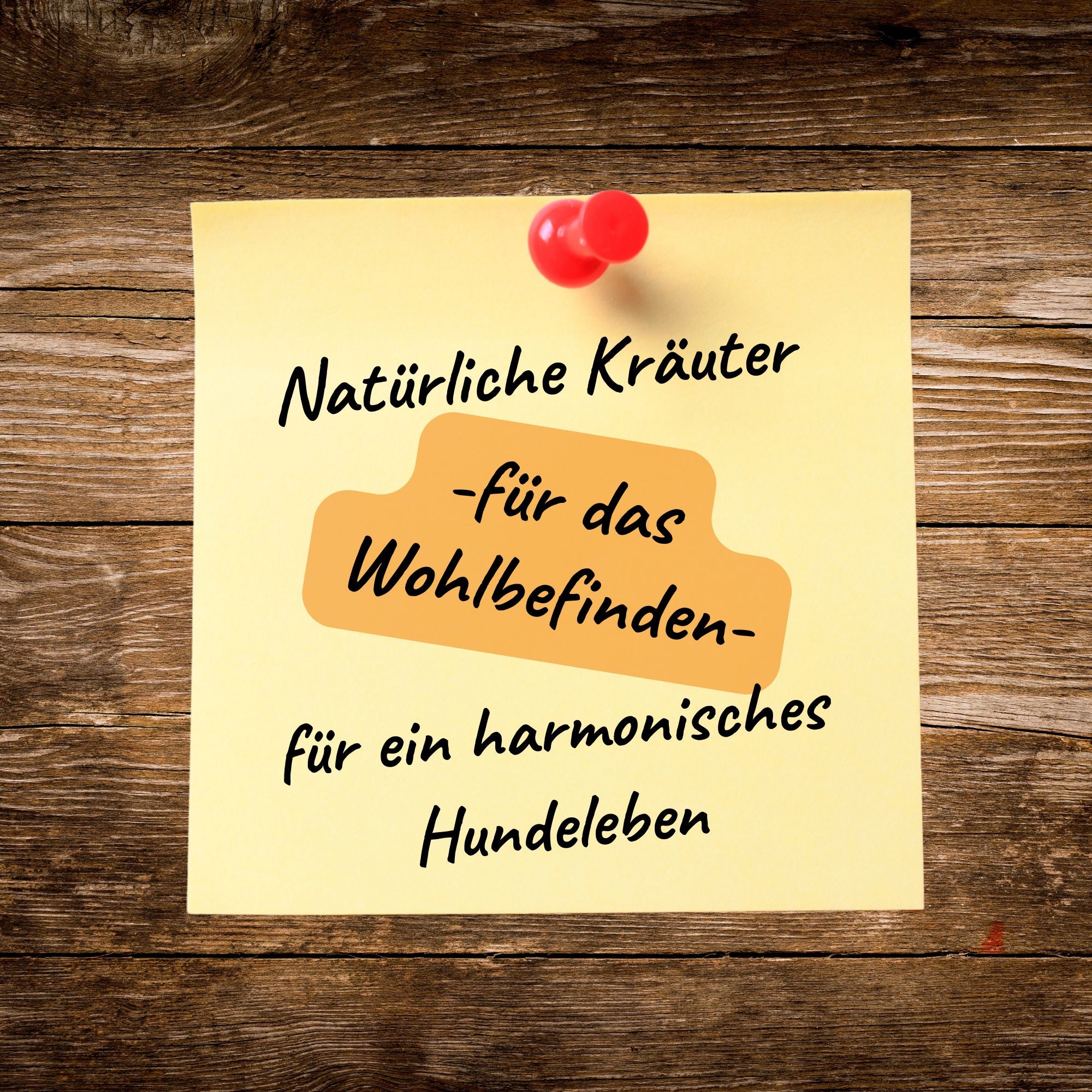 Chilliger - Kräutermischung