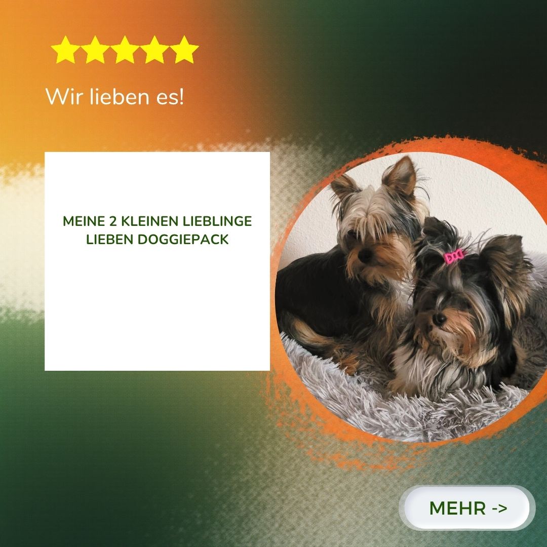 Probierpaket Premium Nassfutter