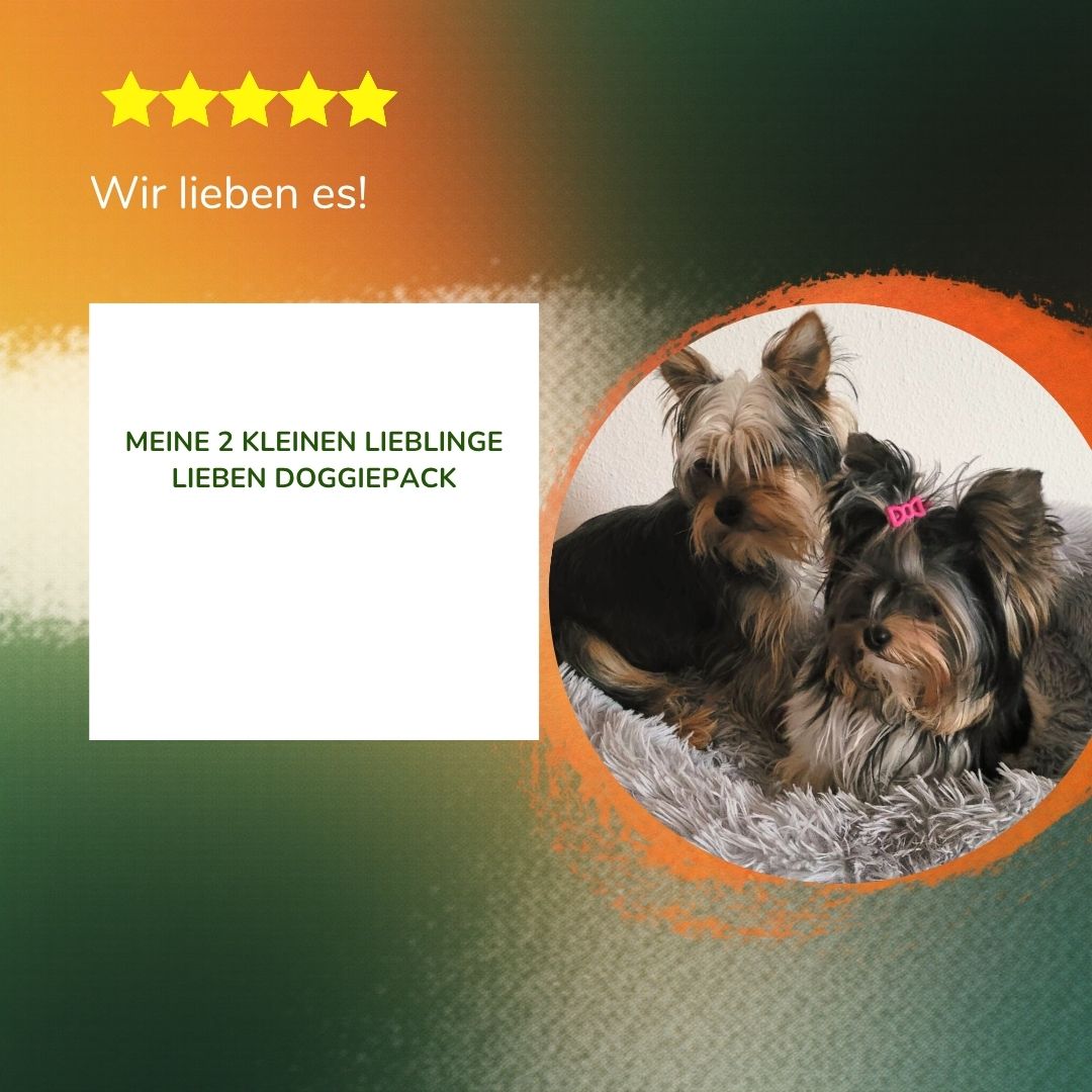 140g Komplett Barf Menüs Sparpaket