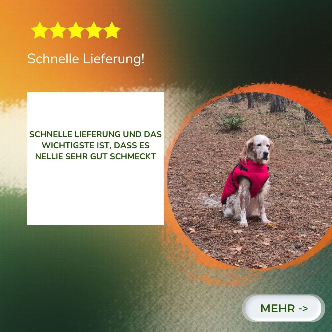 Probierpaket Premium Nassfutter