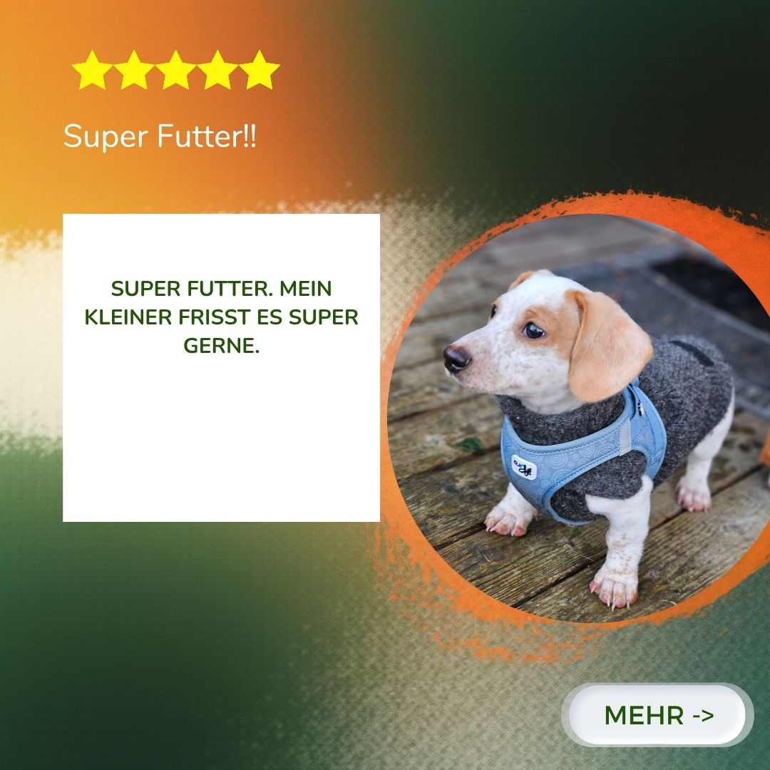 Lucky Darm - natürliche Darmpflege für Hunde