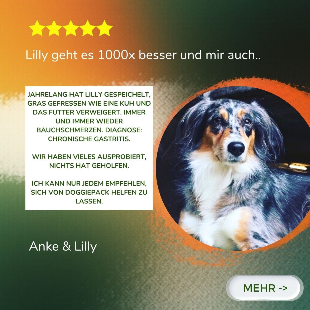 Purinarm Rind mit Apfel-Beeren-Reis