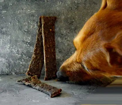 kraeuter_fleisch_leckerlie_rind_doggiepack