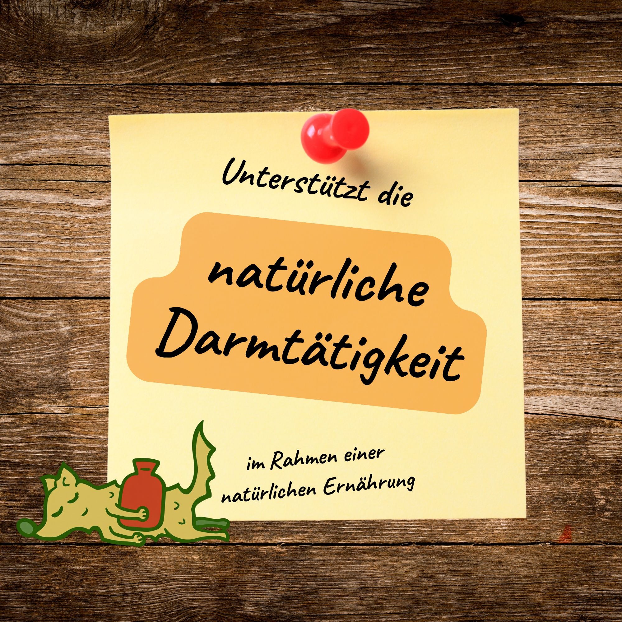 Flohsamenschalen