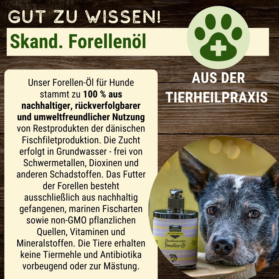 Skandinavisches Forellen-Öl