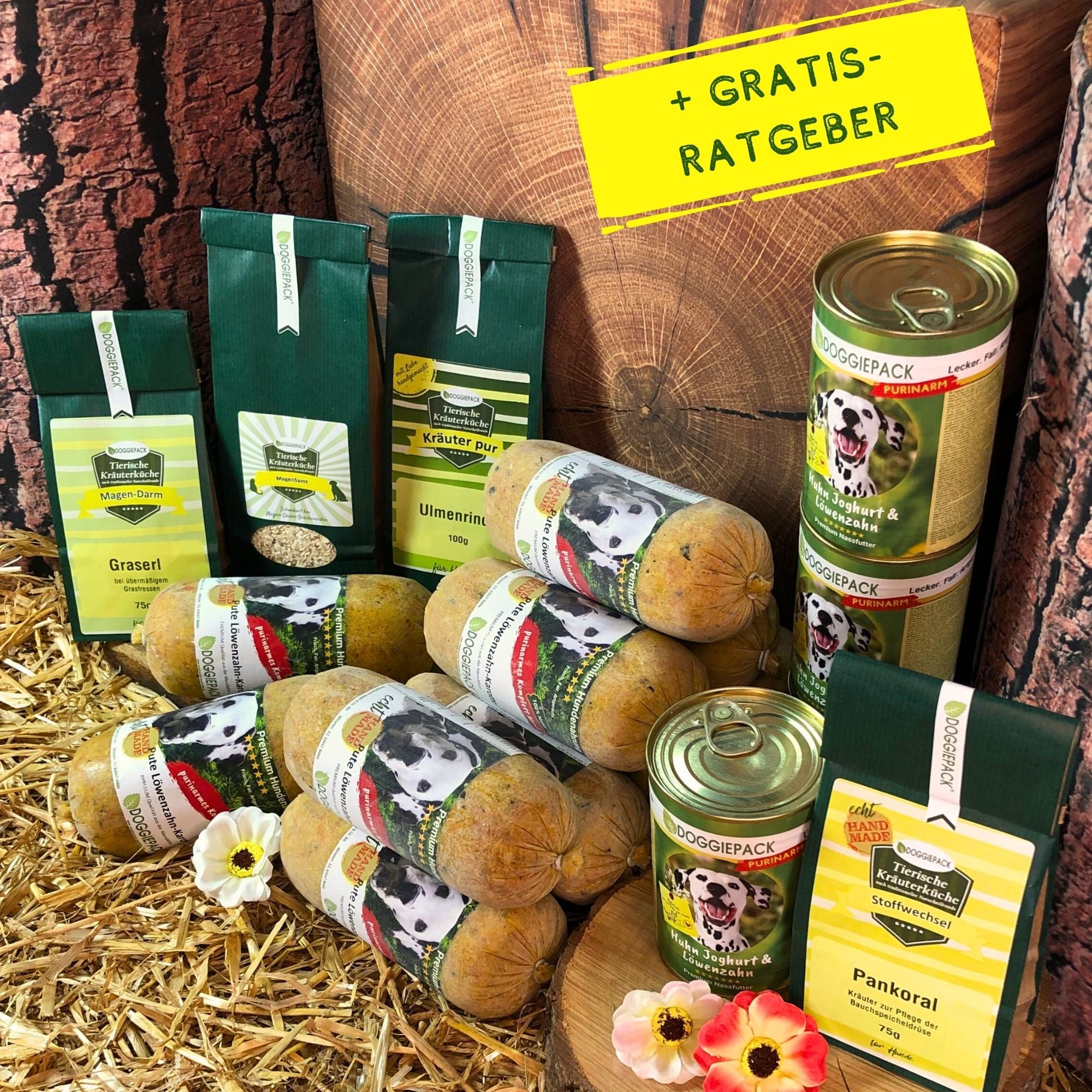 Gastritis-Pack PLUS - bei akuter und chronischer Gastritis