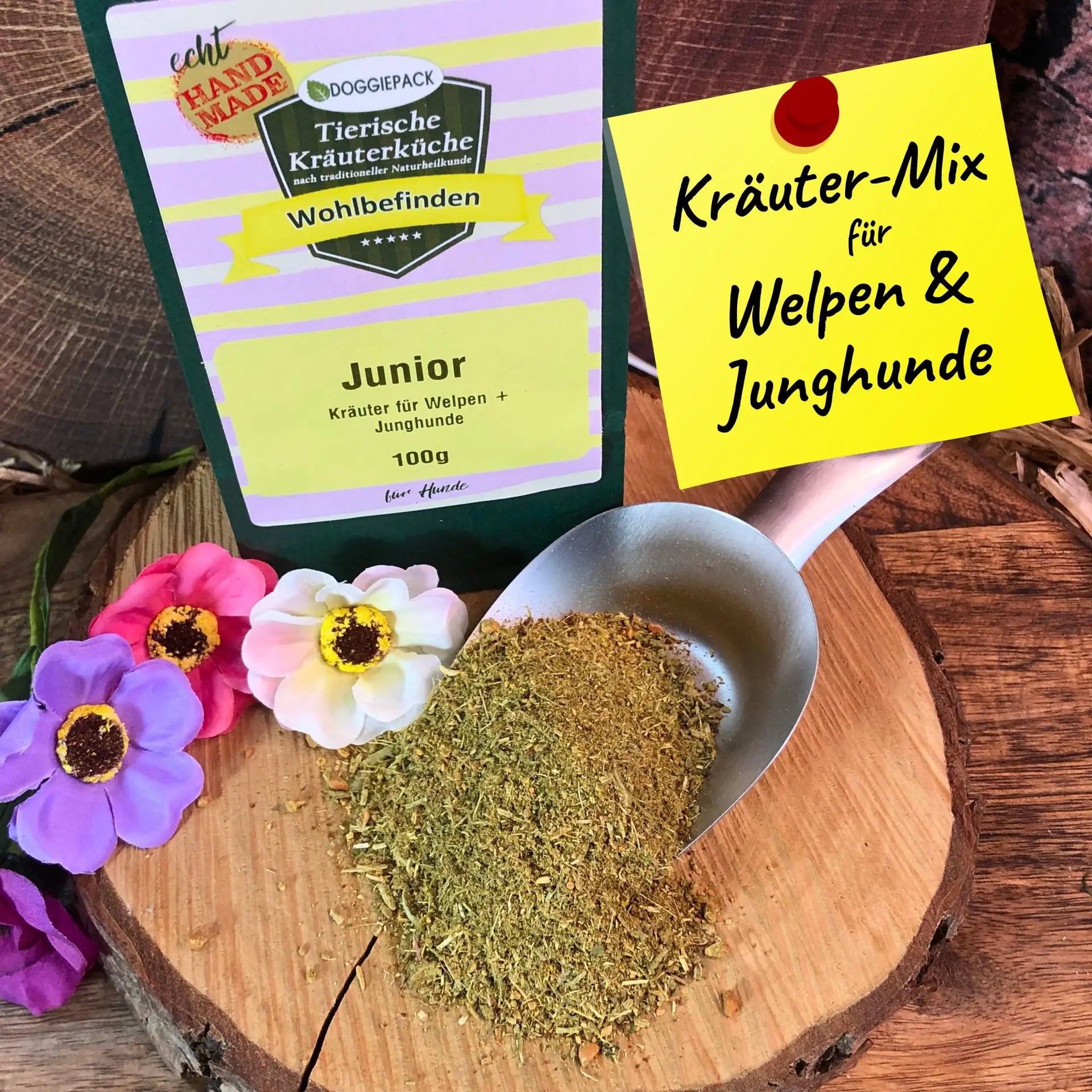 KM Junior SM
