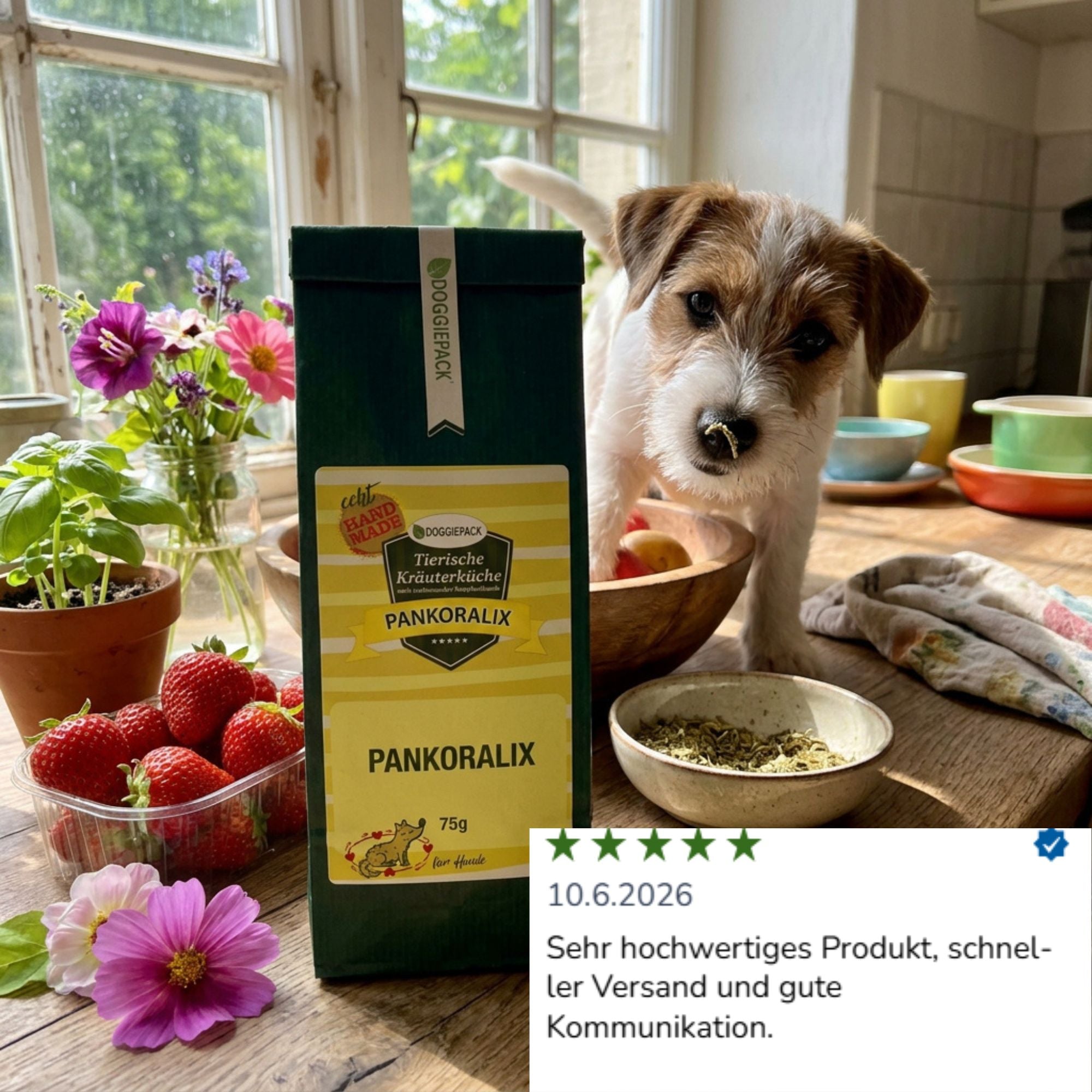Pankoralix Kräuter für Hunde