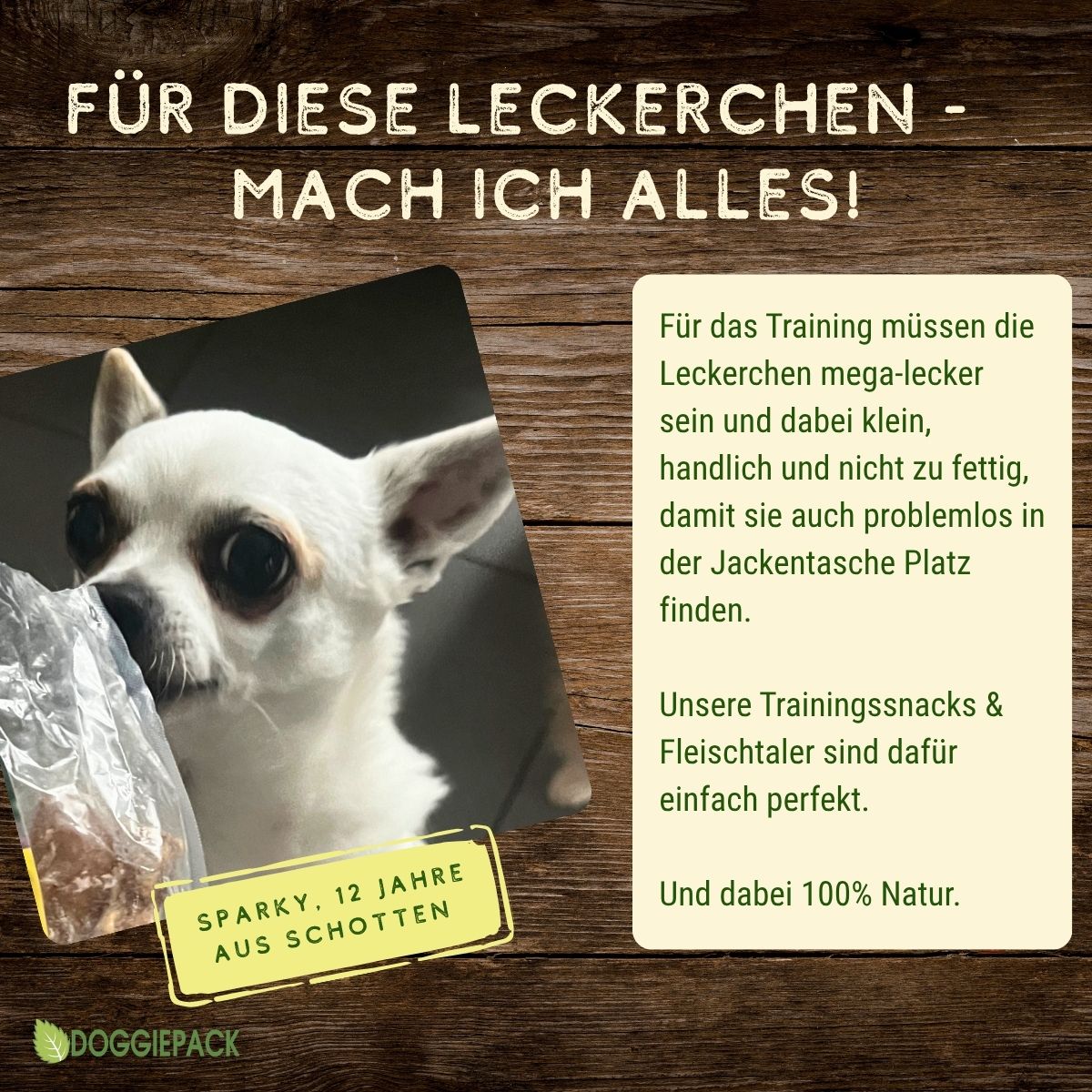 Rinderlungenwürfel getrocknet