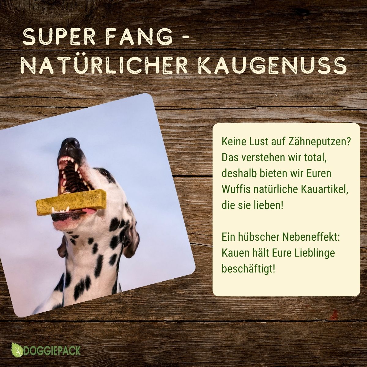 Dorsch-Ringe