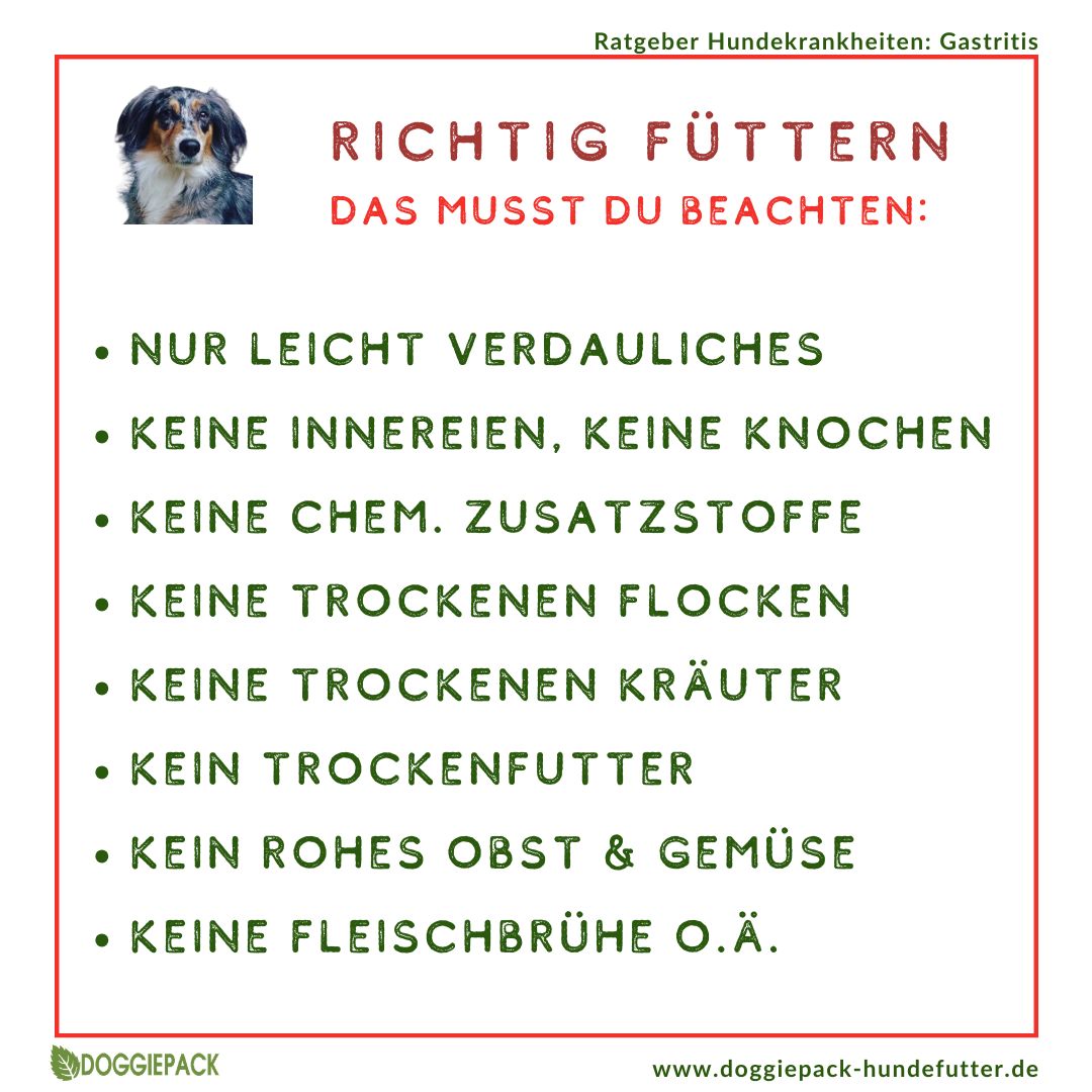 Gastritis-Pack PLUS - bei akuter und chronischer Gastritis