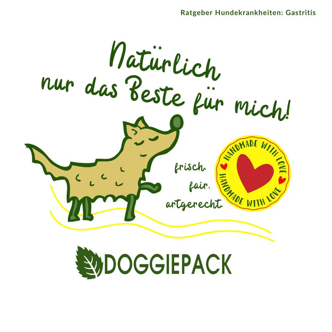 Gastritis-Pack PLUS - bei akuter und chronischer Gastritis