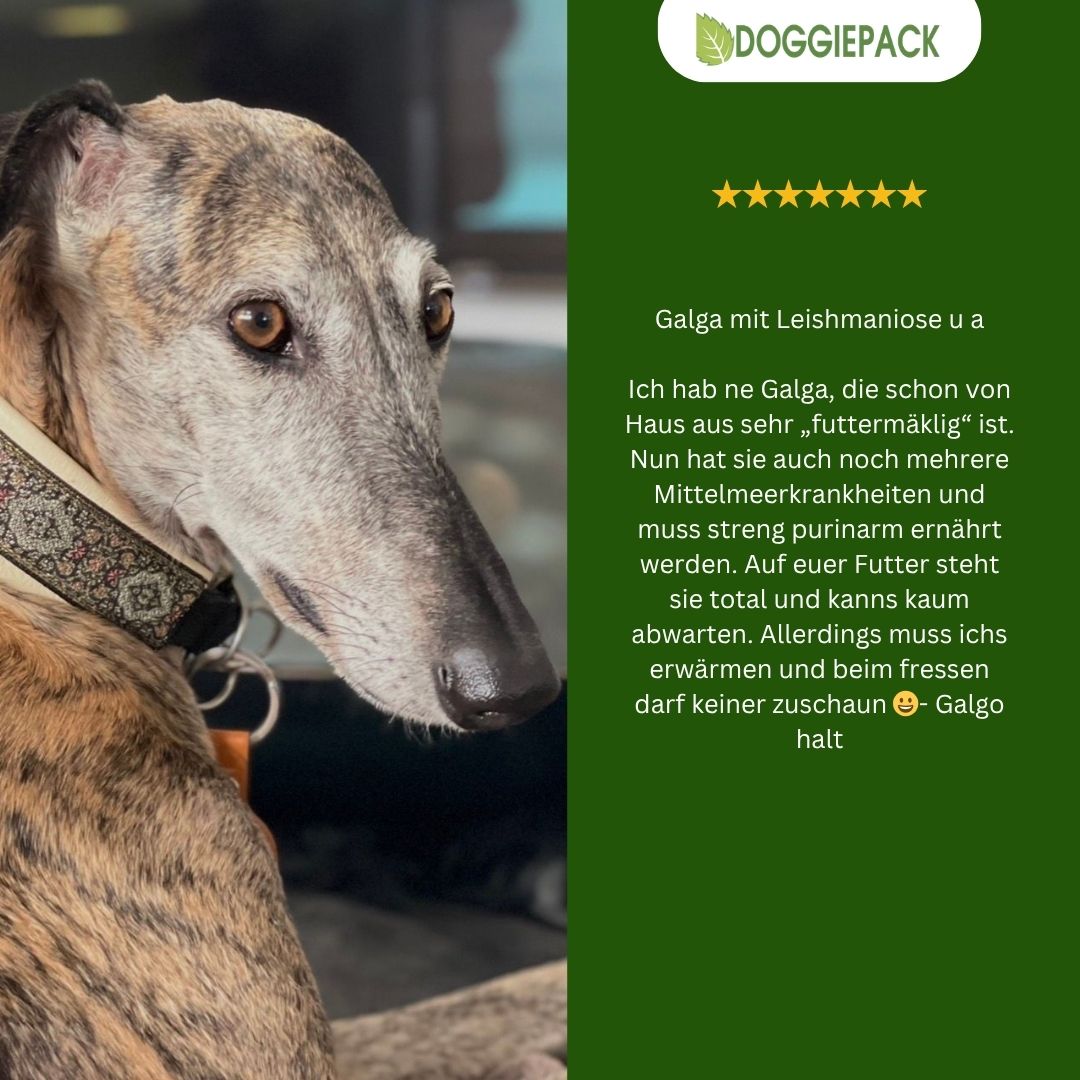 Probierpaket Purinarmes Hundefutter
