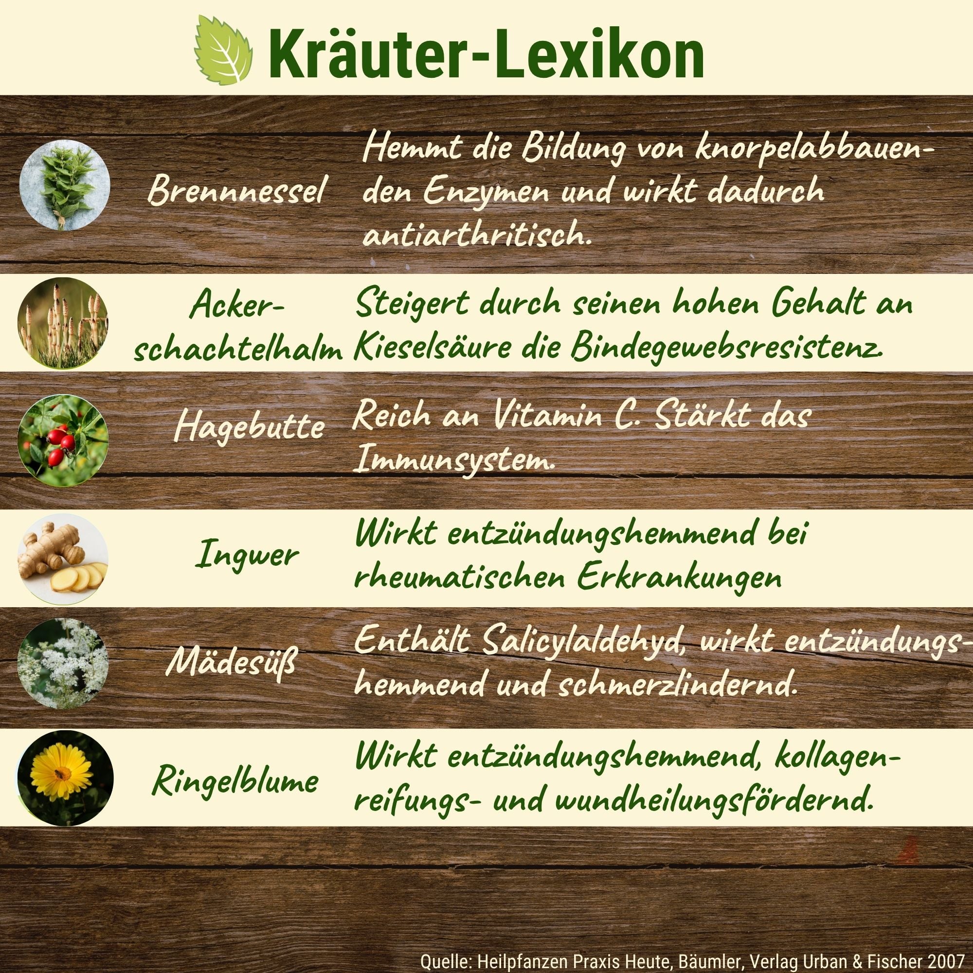Lauffreude - Kräuter