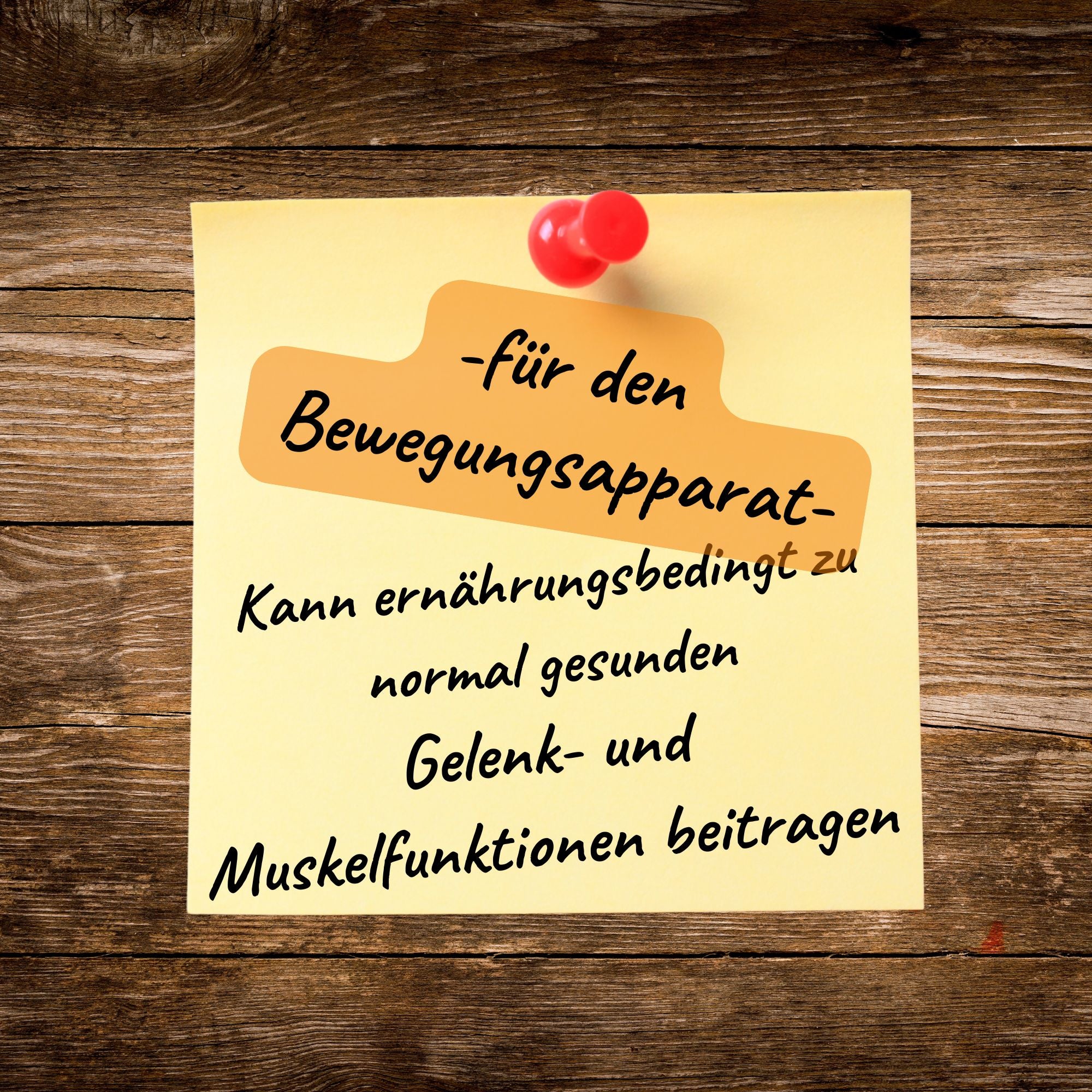 Lauffreude - Kräuter