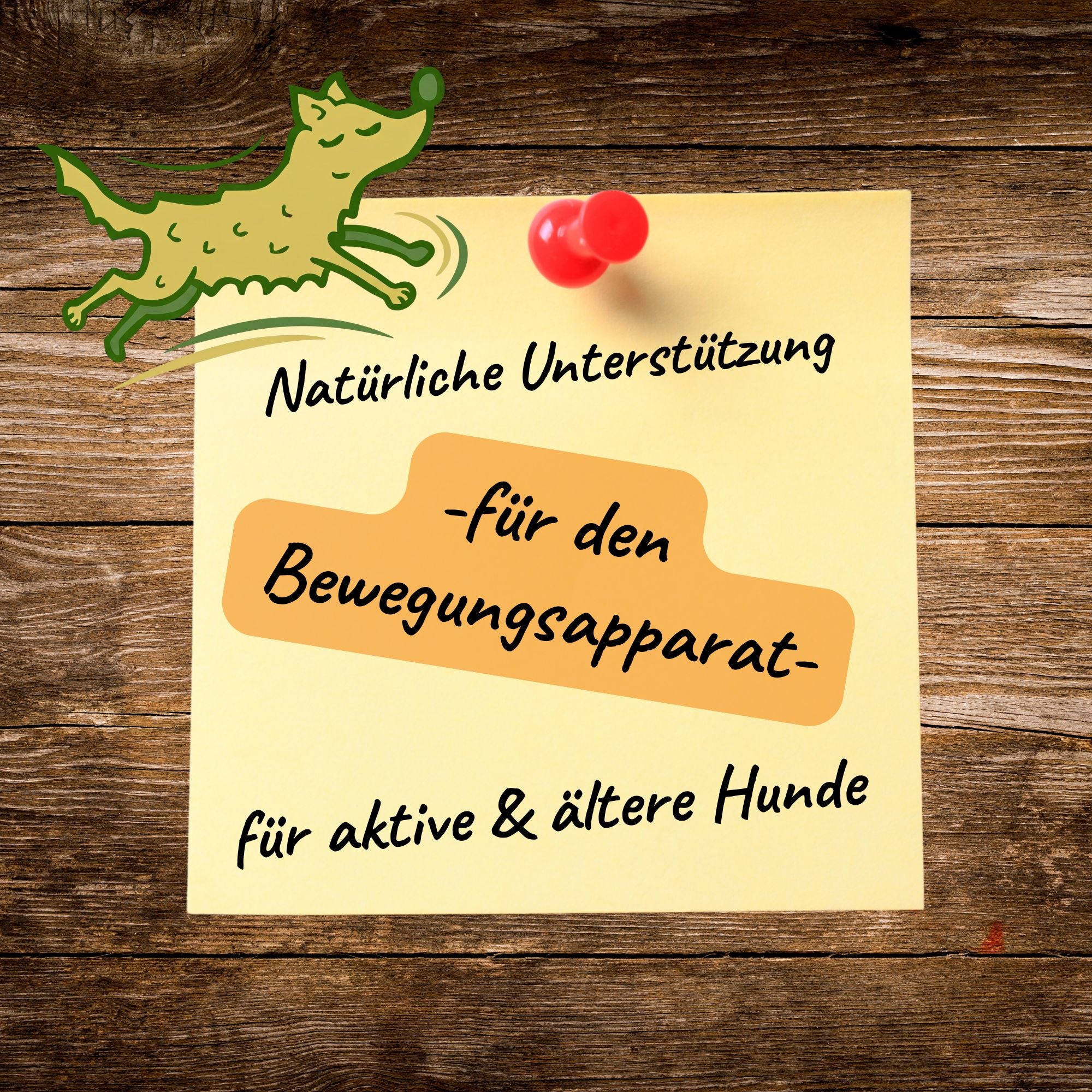 Lauffreude - Kräutermix