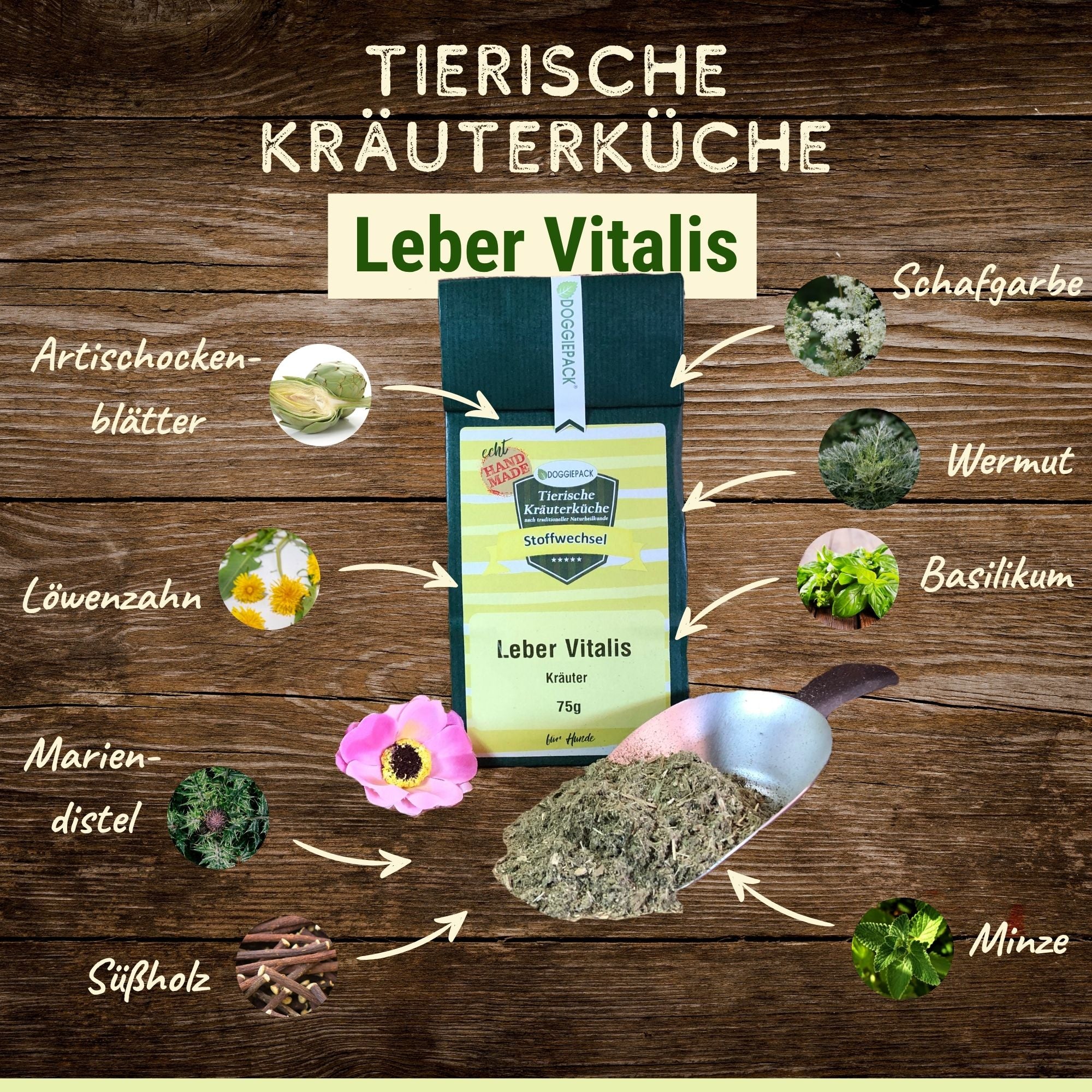 Leber Vitalis