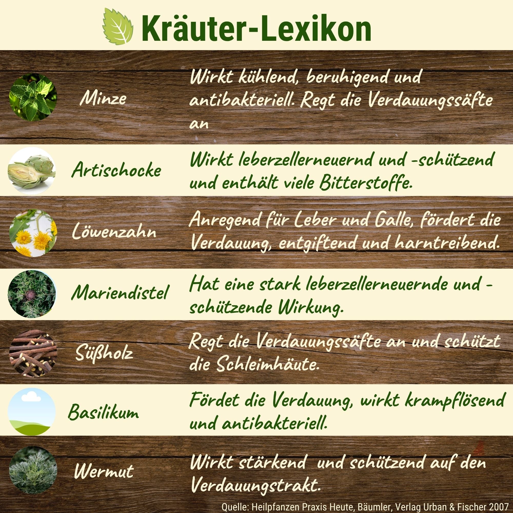 Leber Vitalis