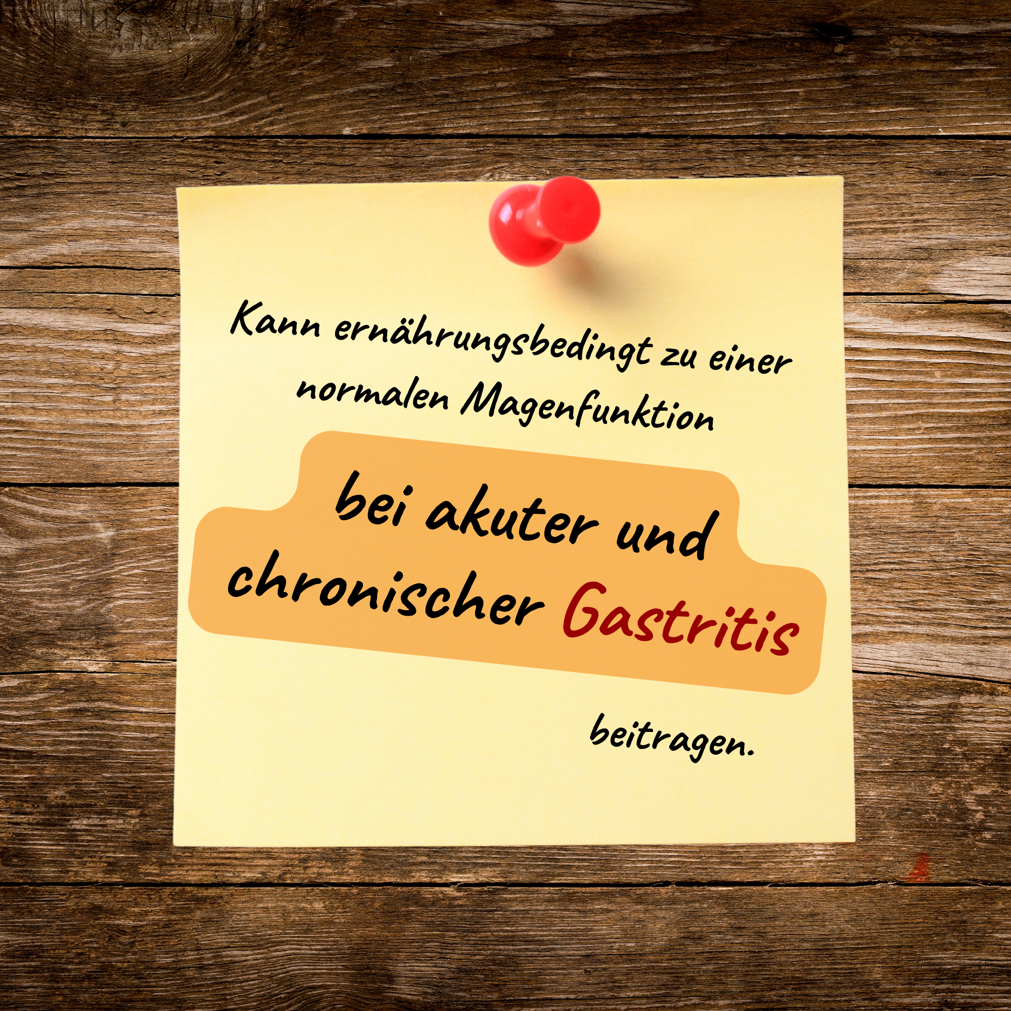 Gastritis-Pack PLUS - bei akuter und chronischer Gastritis