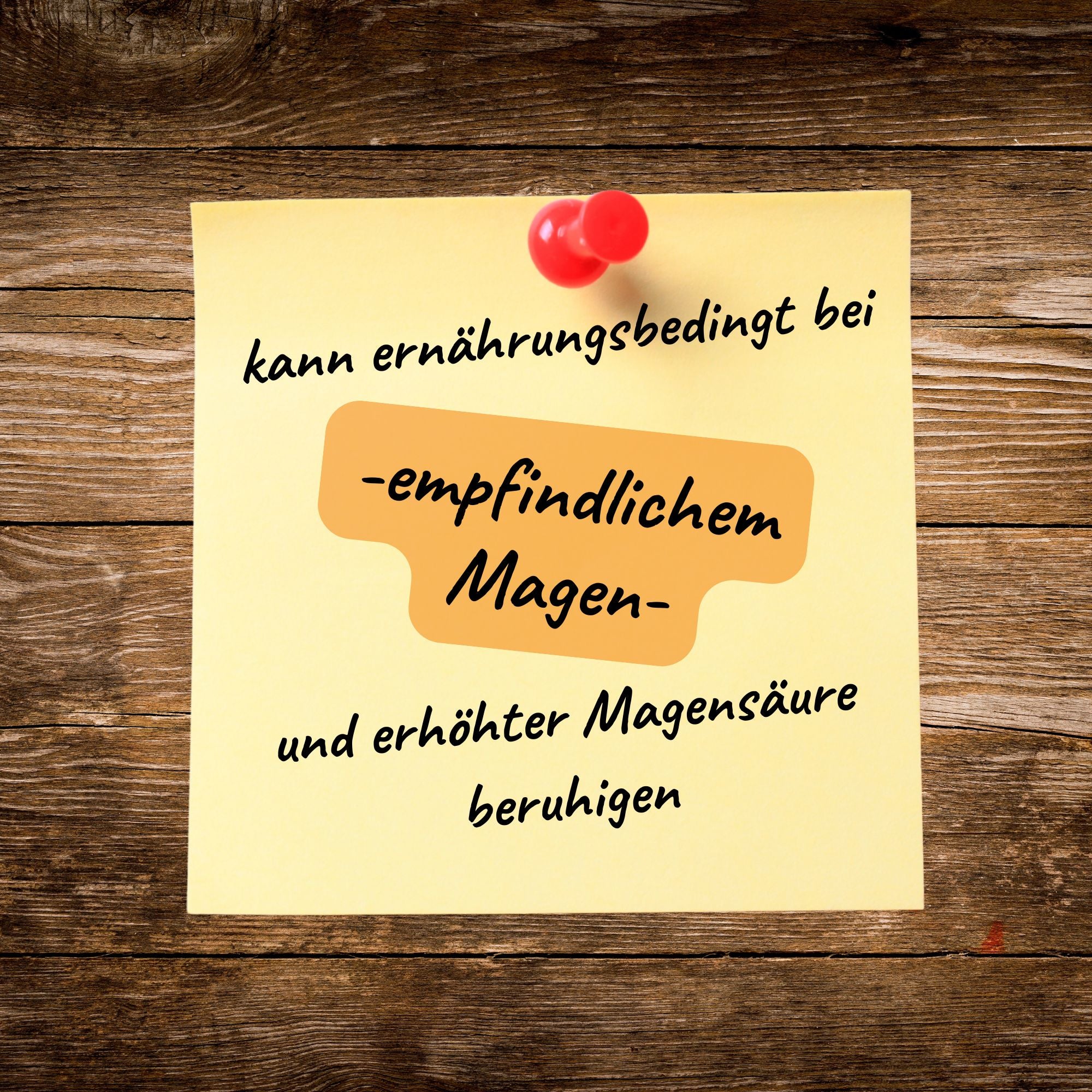 MagenSamt - Schonkost