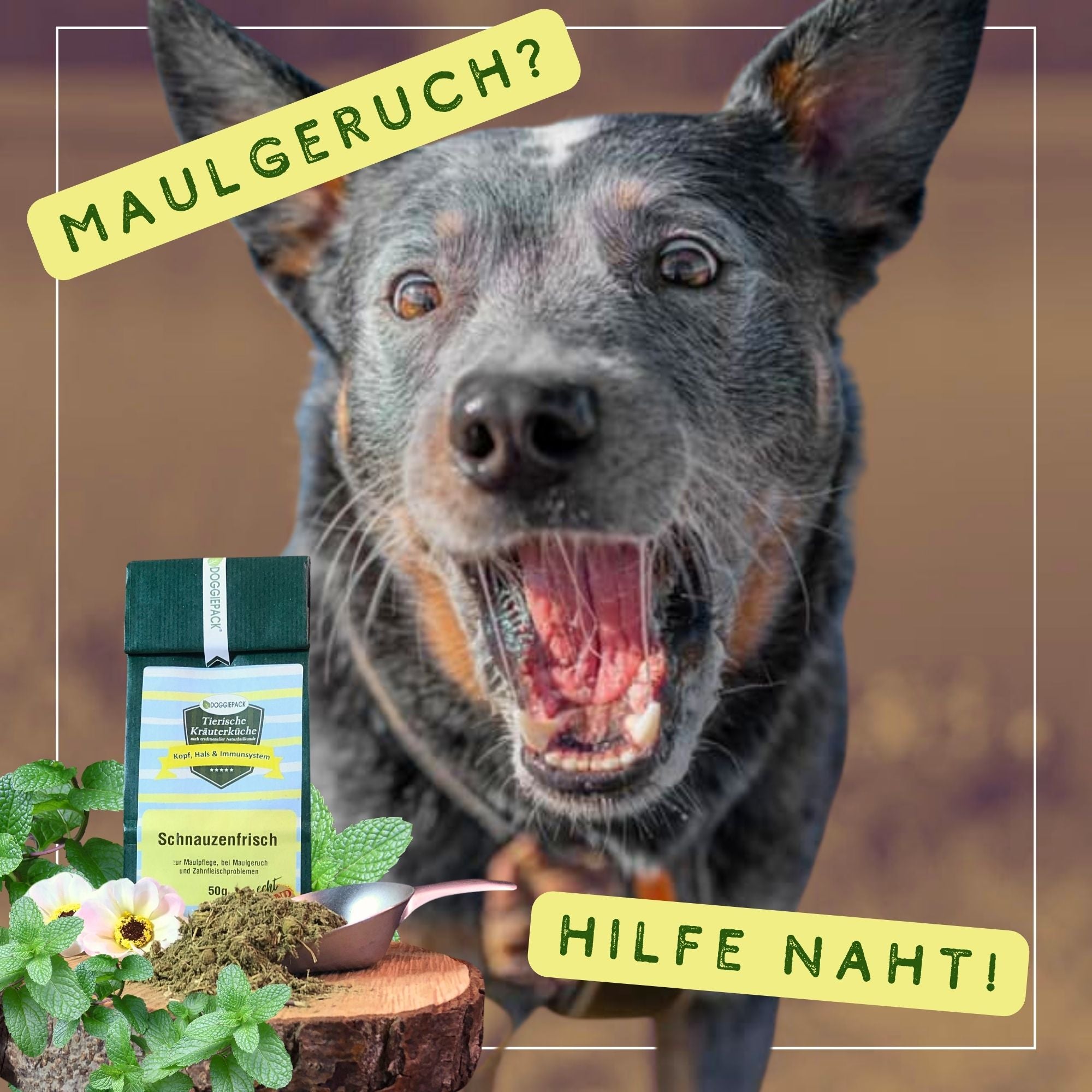 Schnauzenfrisch - Kräuter 50g