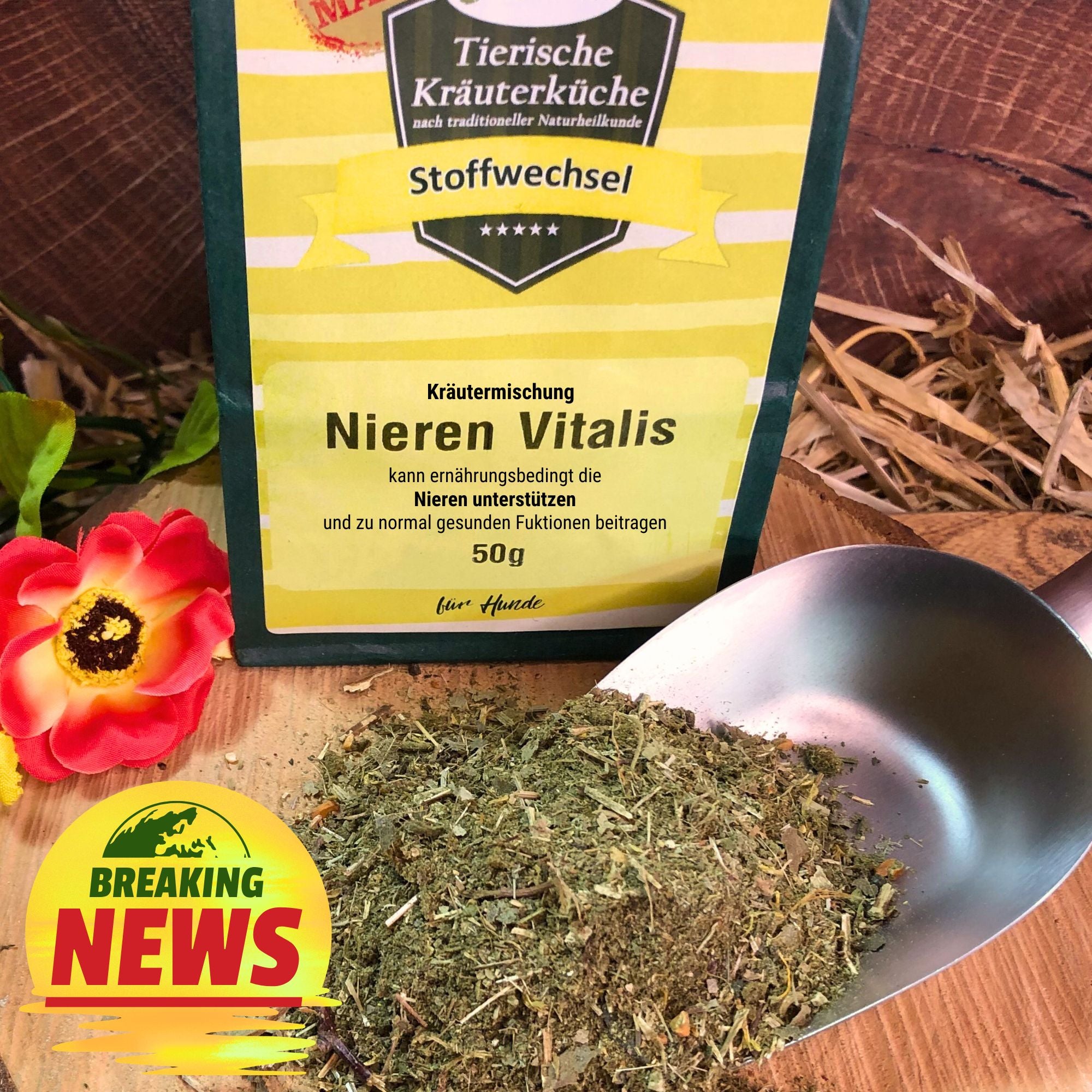 Nieren Vitalis