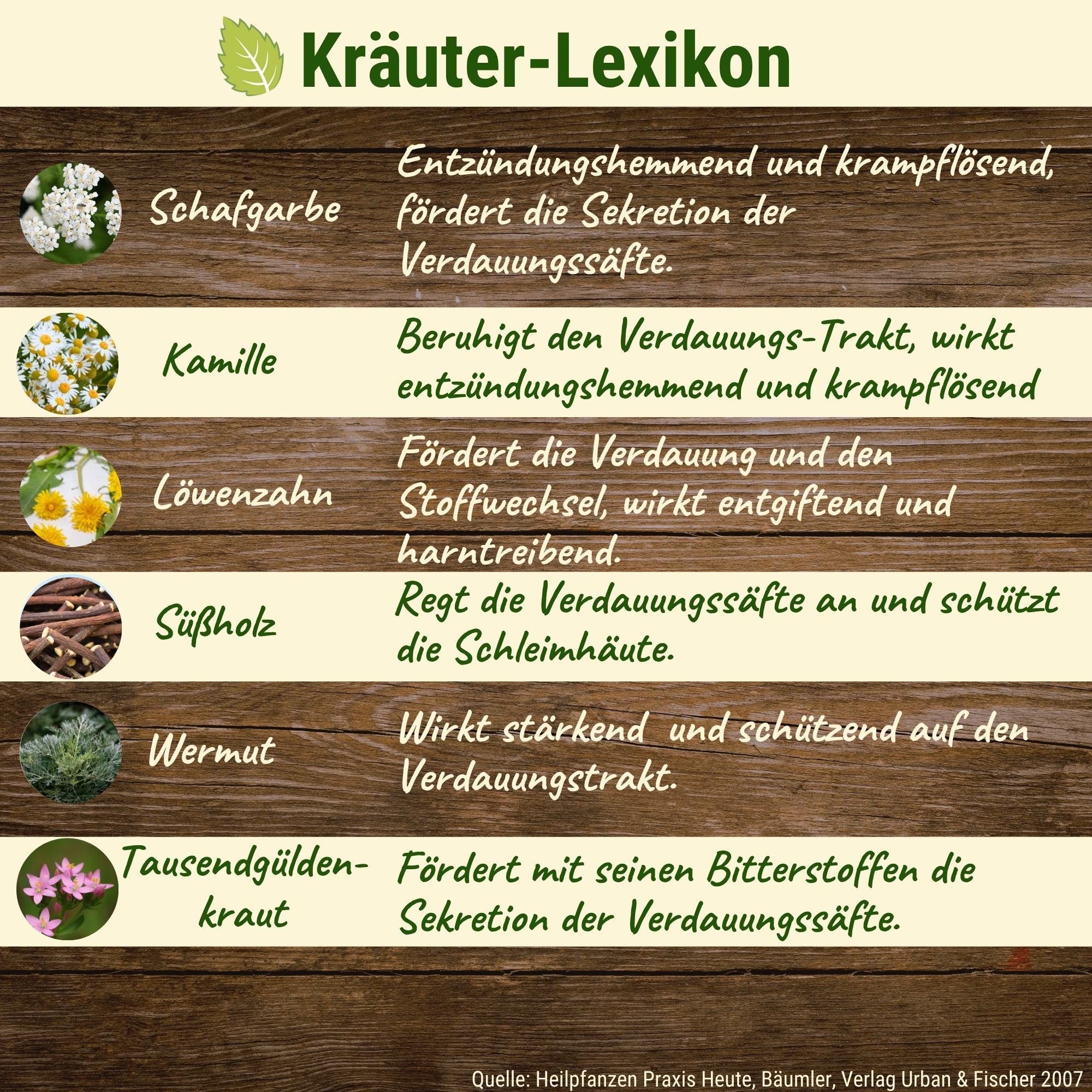 Pankoral - Kräuter Bauchspeicheldrüse