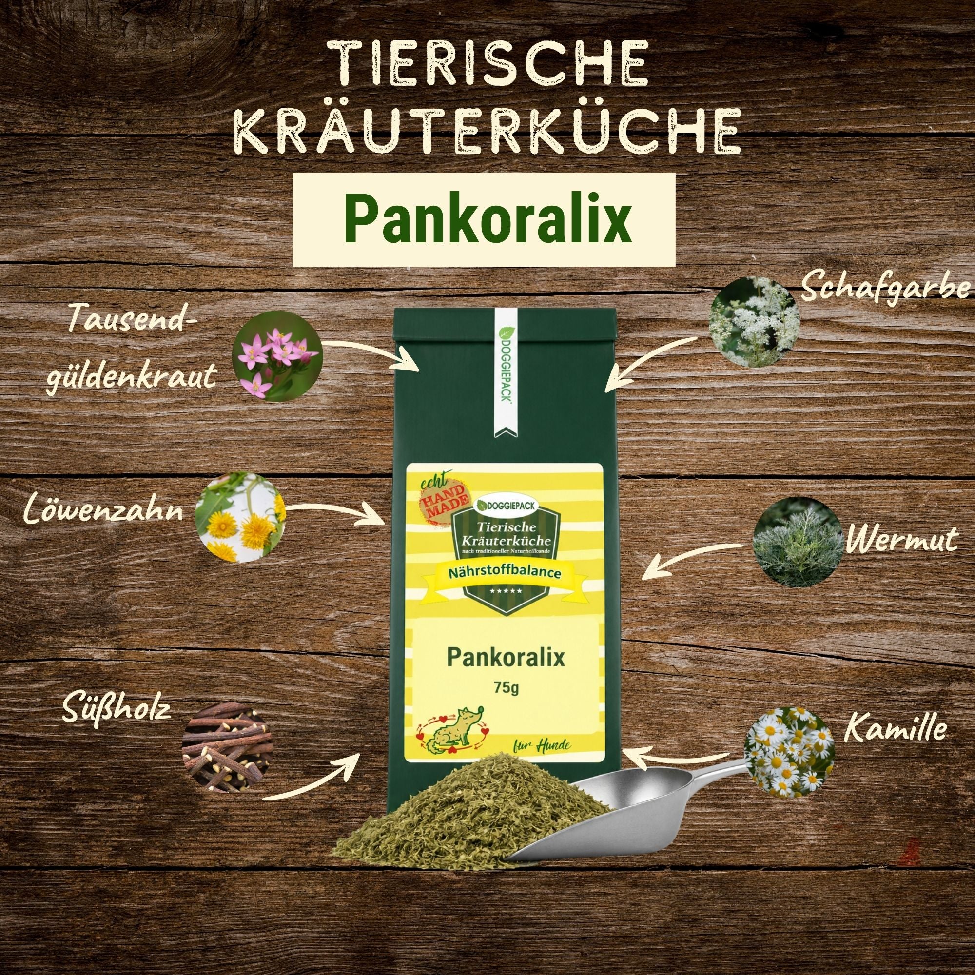 BauchGlück-Set