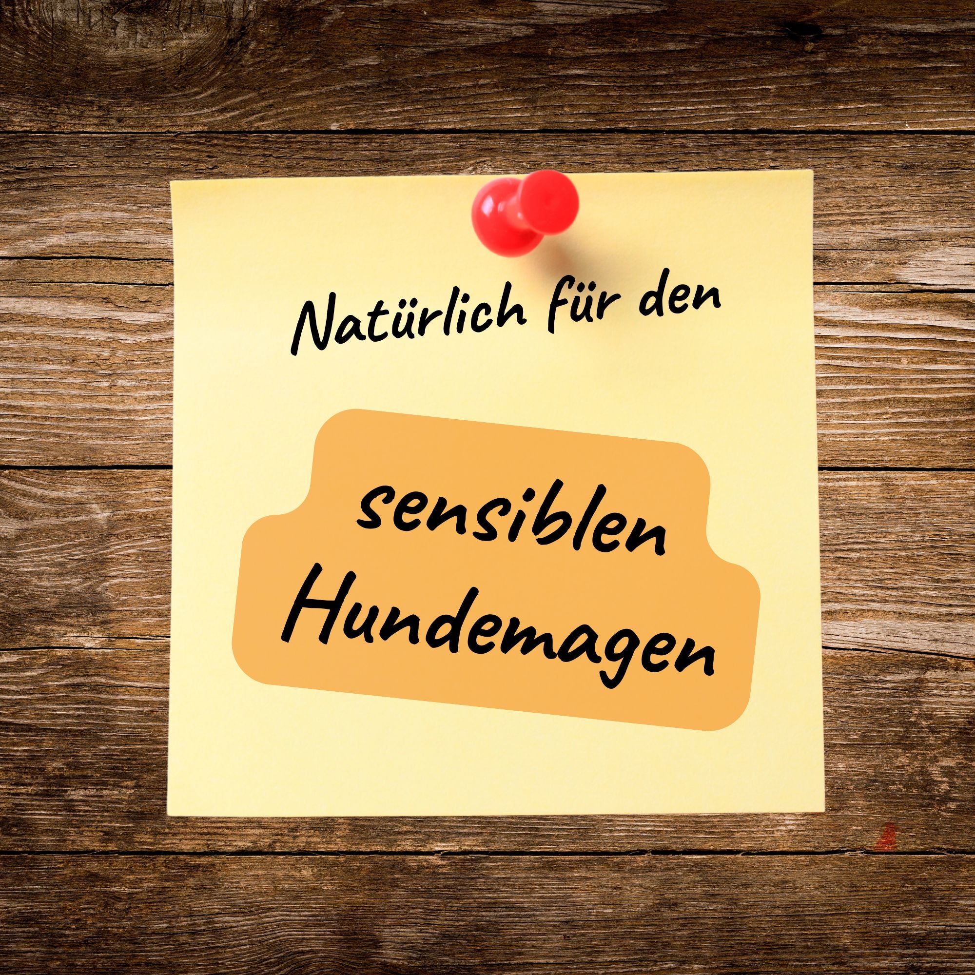 Pankoralix Kräuter für Hunde