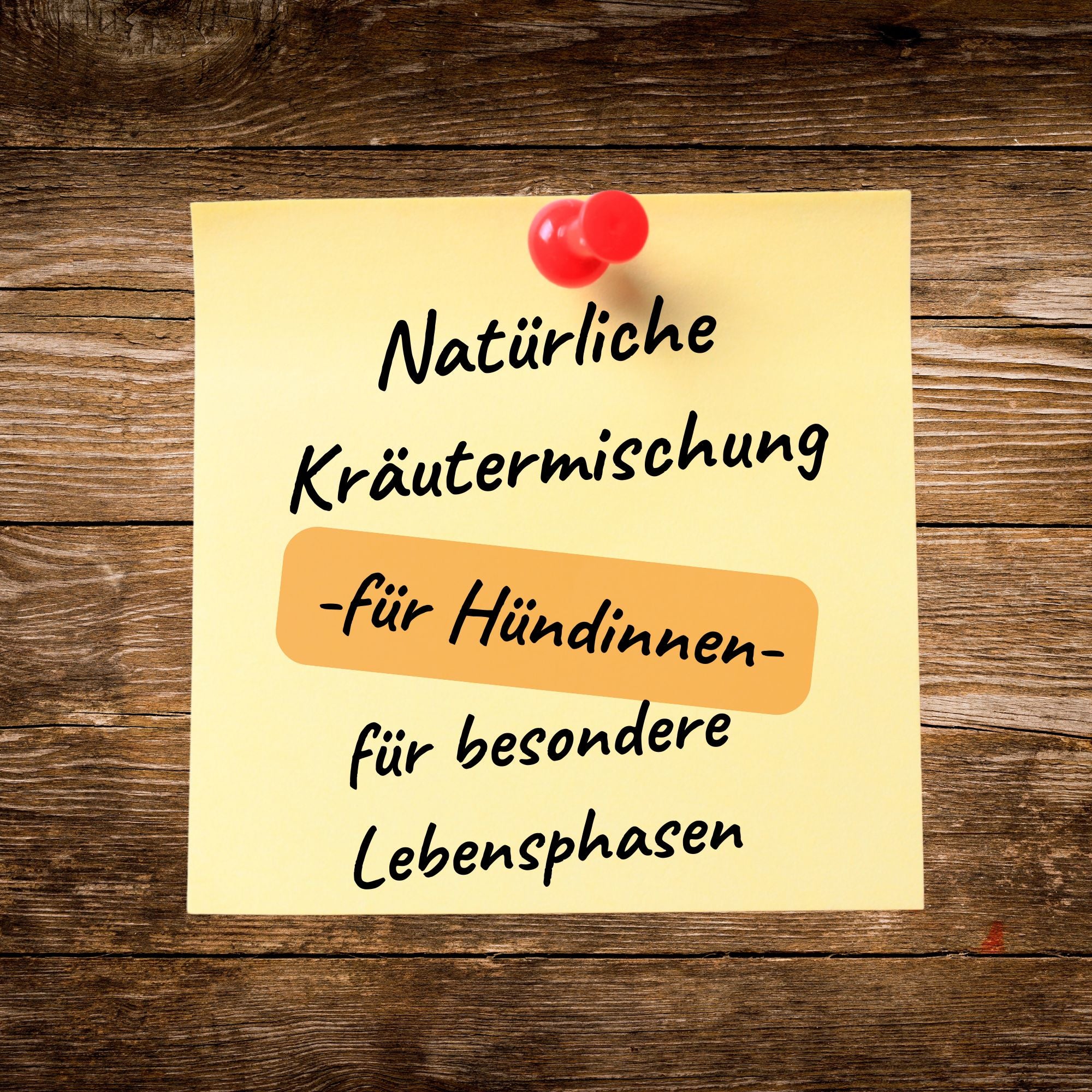 Madame- Kräutermix für heiße Zeiten