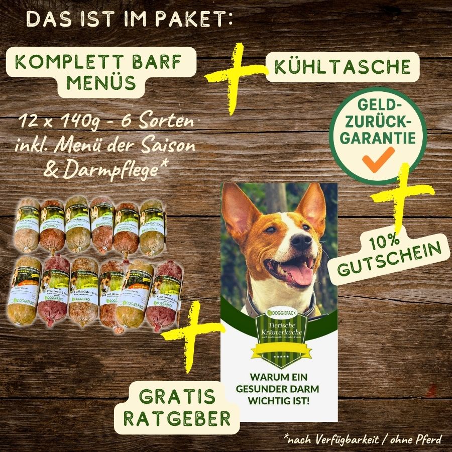 Barf Menüs Probierpaket mit Kühltasche & Geld-zurück-Garantie