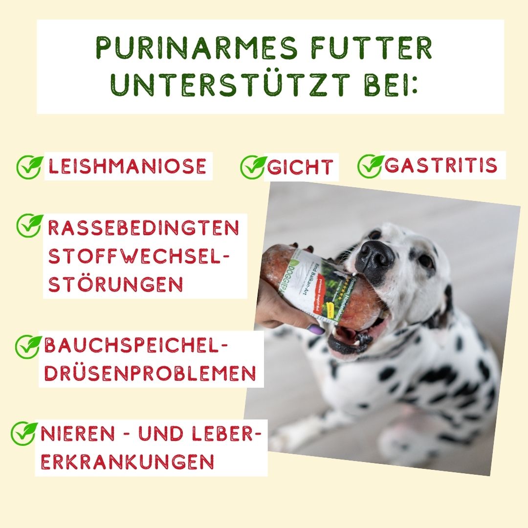 Purinarm Rind mit Apfel-Beeren-Reis