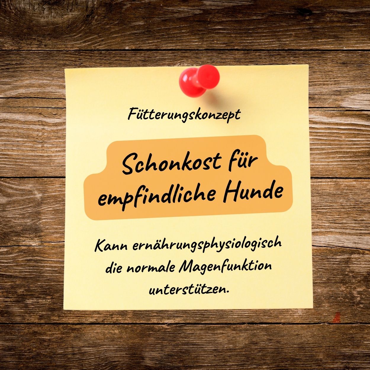 Schonkost-Pack PLUS - bei speziellem Ernährungsbedarf
