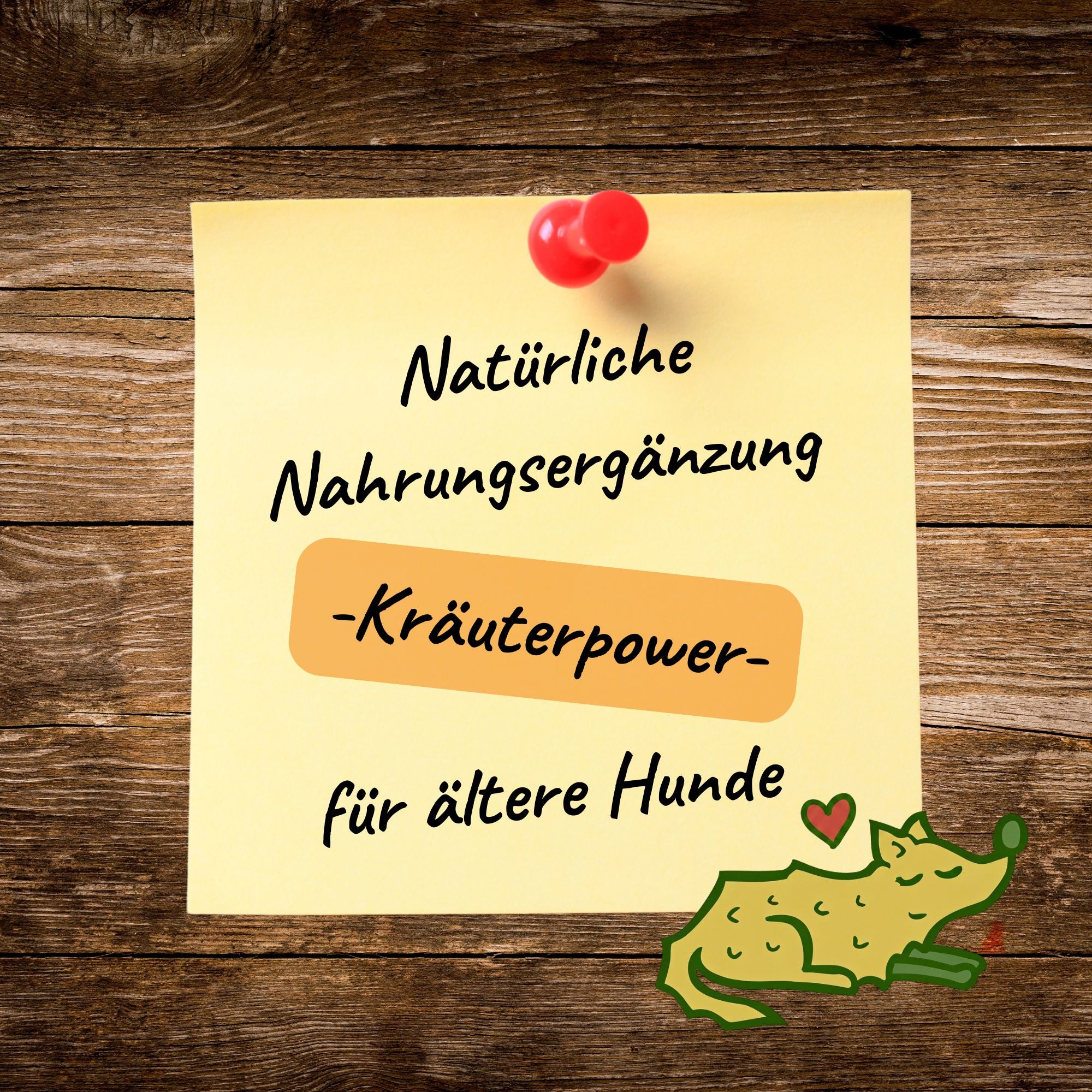 Senior Kräuter-Mix