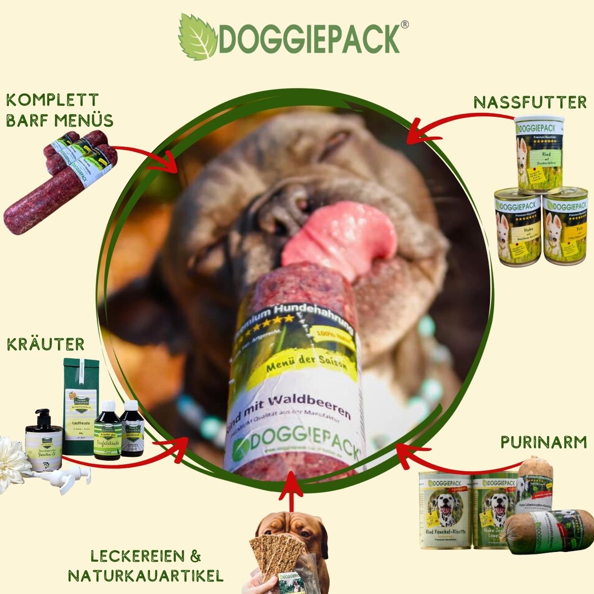 Sparpaket 320g Komplett Barf Menüs